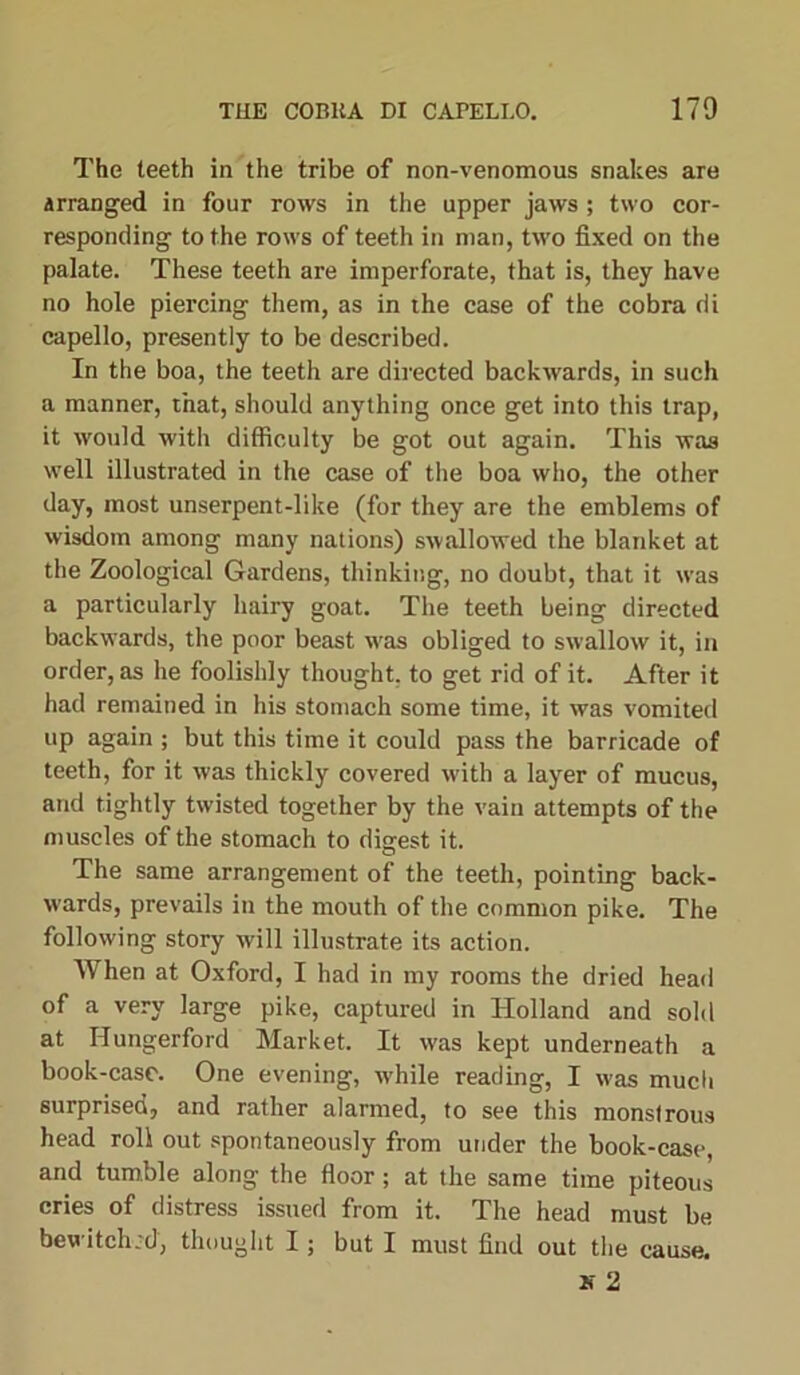 The teeth in the tribe of non-venomous snakes are arranged in four rows in the upper jaws ; two cor- responding to the rows of teeth in man, two fixed on the palate. These teeth are imperforate, that is, they have no hole piercing them, as in the case of the cobra di capello, presently to be described. In the boa, the teeth are directed backwards, in such a manner, that, should anything once get into this trap, it would with difficulty be got out again. This was well illustrated in the case of the boa who, the other day, most unserpent-like (for they are the emblems of wisdom among many nations) swallowed the blanket at the Zoological Gardens, thinking, no doubt, that it was a particularly hairy goat. The teeth being directed backwards, the poor beast was obliged to swallow it, in order, as he foolishly thought, to get rid of it. After it had remained in his stomach some time, it was vomited up again ; but this time it could pass the barricade of teeth, for it was thickly covered with a layer of mucus, and tightly twisted together by the vain attempts of the muscles of the stomach to digest it. The same arrangement of the teeth, pointing back- wards, prevails in the mouth of the common pike. The following story will illustrate its action. When at Oxford, I had in my rooms the dried head of a very large pike, captured in Holland and sold at Ilungerford Market. It was kept underneath a book-case. One evening, while reading, I was much surprised, and rather alarmed, to see this monstrous head roll out spontaneously from under the book-case, and tumble along the floor; at the same time piteous cries of distress issued from it. The head must be bewitch’d, thought I; but I must find out the cause. if 2