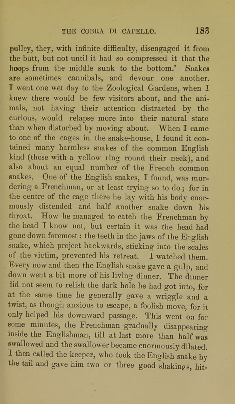 pulley, they, with infinite difficulty, disengaged it from the butt, but not until it had so compressed it that the hoops from the middle sunk to the bottom.’ Snakes are sometimes cannibals, and devour one another. I went one wet day to the Zoological Gardens, when I knew there would be few visitors about, and the ani- mals, not having their attention distracted by the curious, would relapse more into their natural state than when disturbed by moving about. When I came to one of the cages in the snake-house, I found it con- tained many harmless snakes of the common English kind (those with a yellow ring round their neck), and also about an equal number of the French common snakes. One of the English snakes, I found, was mur- dering a Frenchman, or at least trying so to do; for in the centre of the cage there he lay with his body enor- mously distended and half another snake down his throat. How he managed to catch the Frenchman by the head I know not, but certain it was the head had gone down foremost: the teeth in the jaws of the English snake, which project backwards, sticking into the scales of the victim, prevented his retreat. I watched them. Every now and then the English snake gave a gulp, and down went a bit more of his living dinner. The dinner lid not seem to relish the dark hole he had got into, for at the same time he generally gave a wriggle and a twist, as though anxious to escape, a foolish move, for it only helped his downward passage. This went on for some minutes, the Frenchman gradually disappearing inside the Englishman, till at last more than half was swallowed and the swallower became enormously dilated. I then called the keeper, who took the English snake by the tail and gave him two or three good shakings, hit-