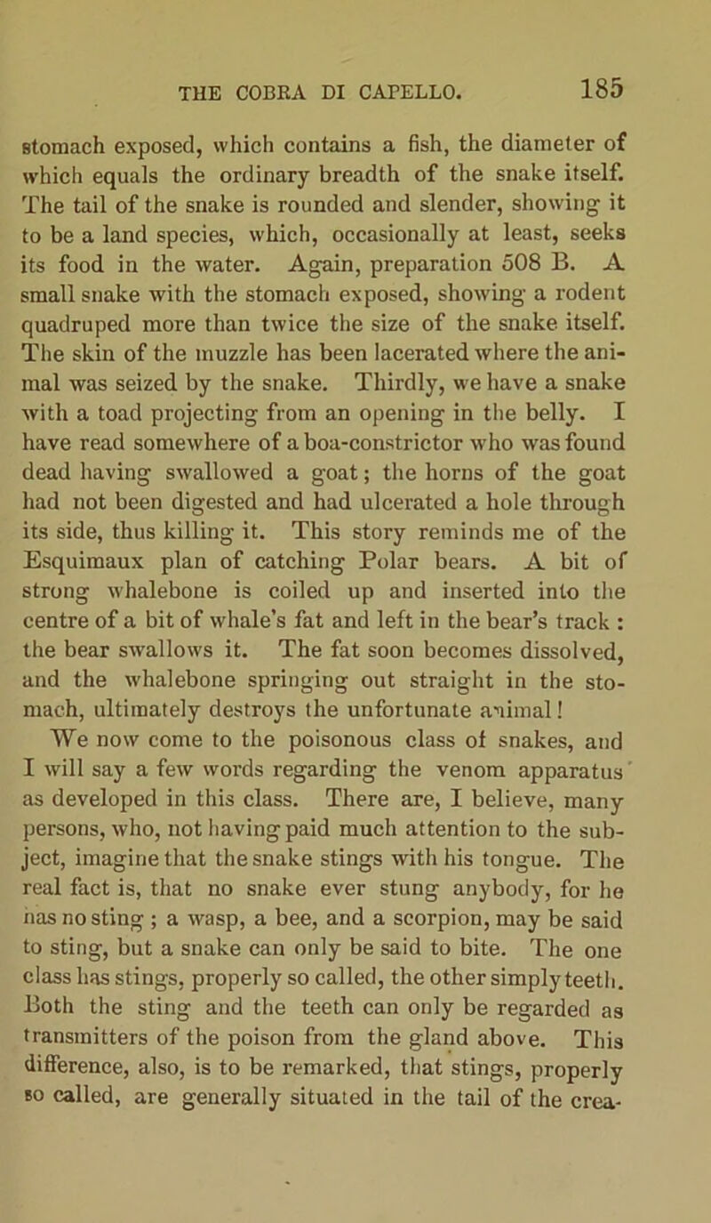 stomach exposed, which contains a fish, the diameter of which equals the ordinary breadth of the snake itself. The tail of the snake is rounded and slender, showing it to be a land species, which, occasionally at least, seeks its food in the water. Again, preparation 508 B. A small snake with the stomach exposed, showing a rodent quadruped more than twice the size of the snake itself. The skin of the muzzle has been lacerated where the ani- mal was seized by the snake. Thirdly, we have a snake with a toad projecting from an opening in the belly. I have read somewhere of a boa-constrictor who was found dead having swallowed a goat; the horns of the goat had not been digested and had ulcerated a hole through its side, thus killing it. This story reminds me of the Esquimaux plan of catching Polar bears. A bit of strong whalebone is coiled up and inserted into the centre of a bit of whale’s fat and left in the bear’s track : the bear swallows it. The fat soon becomes dissolved, and the whalebone springing out straight in the sto- mach, ultimately destroys the unfortunate animal! We now come to the poisonous class of snakes, and I will say a few words regarding the venom apparatus as developed in this class. There are, I believe, many persons, who, not having paid much attention to the sub- ject, imagine that the snake stings with his tongue. The real fact is, that no snake ever stung anybody, for he has no sting ; a wasp, a bee, and a scorpion, may be said to sting, but a snake can only be said to bite. The one class has stings, properly so called, the other simply teeth. Both the sting and the teeth can only be regarded as transmitters of the poison from the gland above. This difference, also, is to be remarked, that stings, properly so called, are generally situated in the tail of the crea-