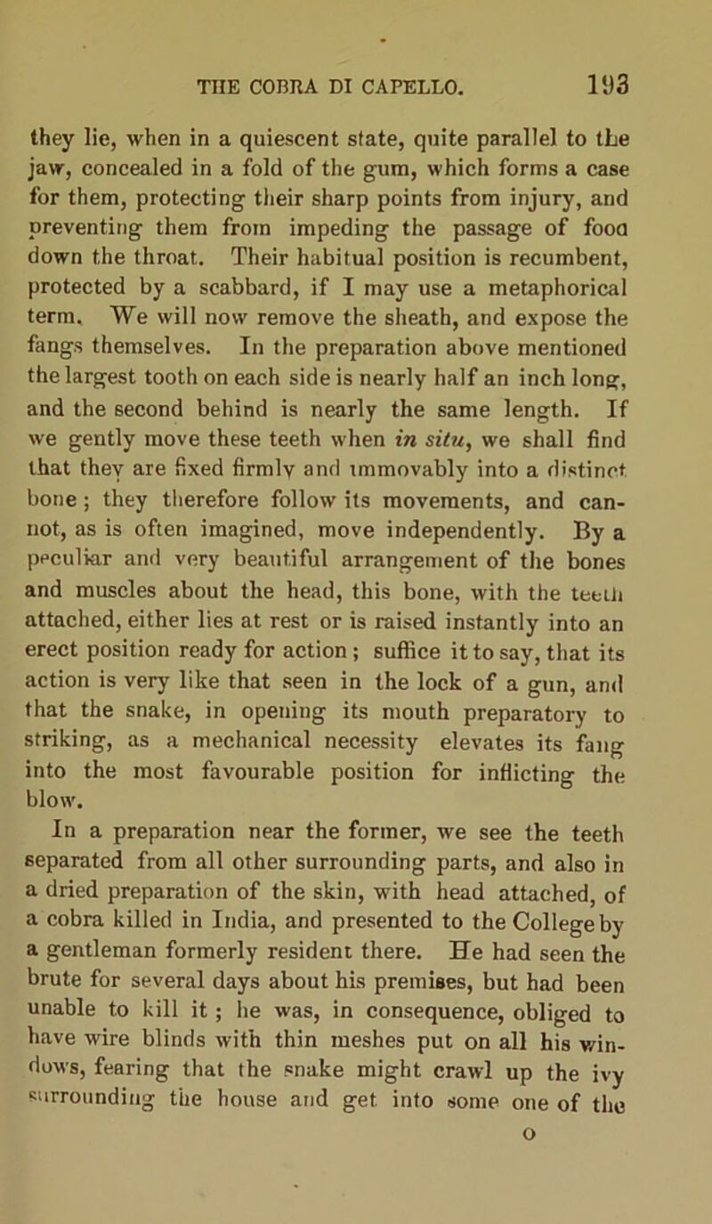 they lie, when in a quiescent state, quite parallel to tLe jaw, concealed in a fold of the gum, which forms a case for them, protecting their sharp points from injury, and preventing them from impeding the passage of food down the throat. Their habitual position is recumbent, protected by a scabbard, if I may use a metaphorical term. We will now remove the sheath, and expose the fangs themselves. In the preparation above mentioned the largest tooth on each side is nearly half an inch long, and the second behind is nearly the same length. If we gently move these teeth when in situ, we shall find that they are fixed firmly and immovably into a distinct bone; they therefore follow its movements, and can- not, as is often imagined, move independently. By a peculiar and very beautiful arrangement of the bones and muscles about the head, this bone, with the teeth attached, either lies at rest or is raised instantly into an erect position ready for action; suffice it to say, that its action is very like that seen in the lock of a gun, and that the snake, in opening its mouth preparatory to striking, as a mechanical necessity elevates its fang into the most favourable position for inflicting the blow. In a preparation near the former, we see the teeth separated from all other surrounding parts, and also in a dried preparation of the skin, with head attached, of a cobra killed in India, and presented to the College by a gentleman formerly resident there. He had seen the brute for several days about his premises, but had been unable to kill it; he was, in consequence, obliged to have wire blinds with thin meshes put on all his win- dows, fearing that the snake might crawl up the ivy surrounding the house and get into some one of the o