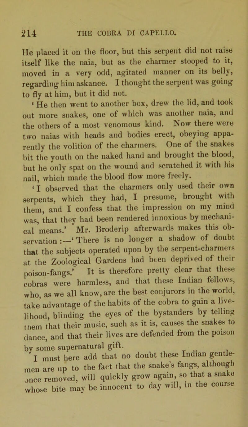He placed it on the floor, but this serpent did not raise itself like the naia, but as the charmer stooped to it, moved in a very odd, agitated manner on its belly, regarding him askance. I thought the serpent was going to fly at him, but it did not. ‘ He then went to another box, drew the lid, and took out more snakes, one of which was another naia, and the others of a most venomous kind. Now there were two naias with heads and bodies erect, obeying appa- rently the volition of the charmers. One of the snakes bit the youth on the naked hand and brought the blood, but he only spat on the wound and scratched it with his nail, which made the blood flow more freely. ‘ I observed that the charmers only used their own serpents, which they had, I presume, brought with them, and I confess that the impression on my mind was, that they had been rendered innoxious by mechani- cal means.’ Mr. Broderip afterwards makes this ob- servation ‘ There is no longer a shadow of doubt that the subjects operated upon by the serpent-charmers at the Zoological Gardens had been deprived of their poison-fangs.’ It is therefore pretty clear that these cobras were harmless, and that these Indian fellows, who, as we all know, are the best conjurors in the world, take advantage of the habits of the cobra to gain a live- lihood, blinding the eyes of the bystanders by telling them that their music, such as it is, causes the snakes to dance, and that their lives are defended from the poison by some supernatural gift. I must here add that no doubt these Indian gentle- men are up to the fact that the snake’s fangs, although ,nce removed, will quickly grow again, so that a snake whose bite may be innocent to day will, in the course