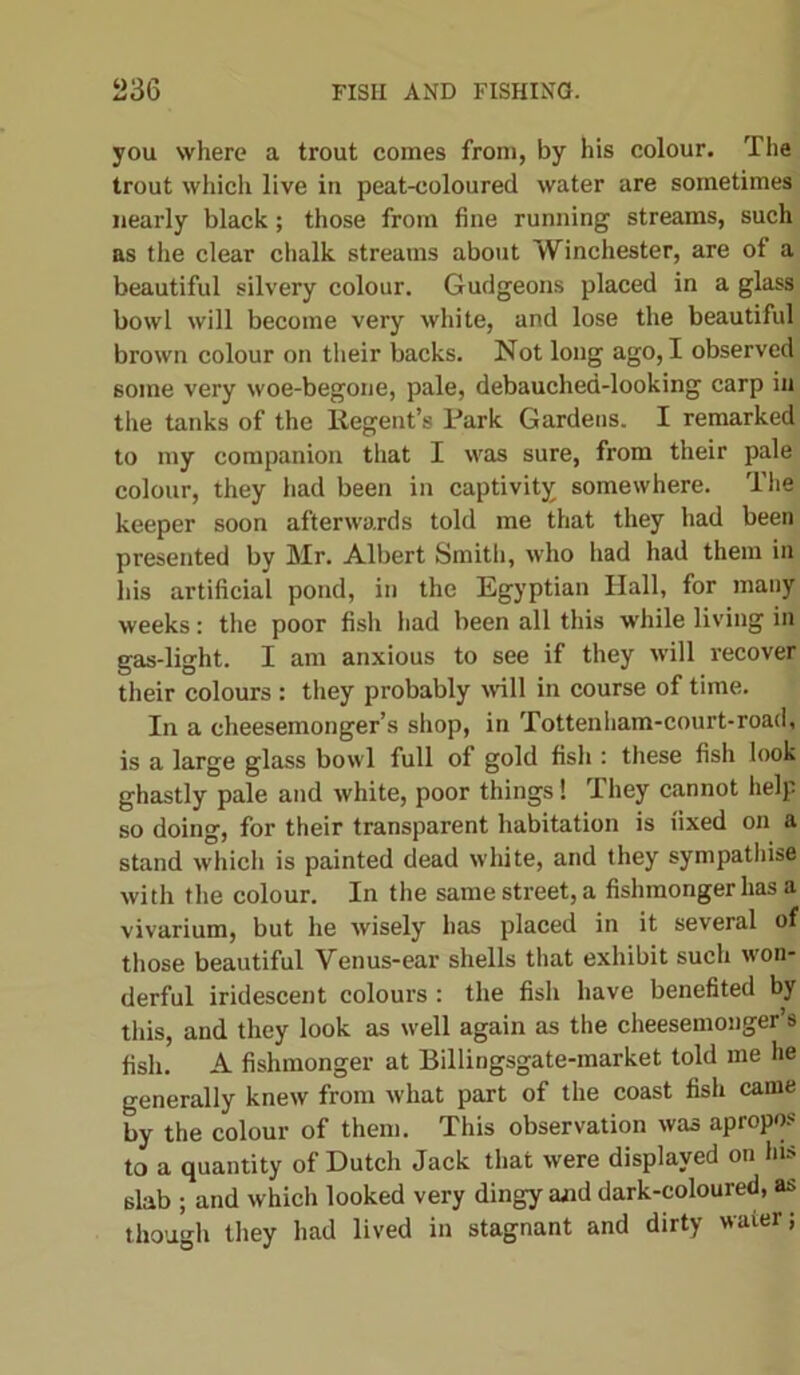 you where a trout comes from, by his colour. The trout which live in peat-coloured water are sometimes nearly black; those from fine running streams, such as the clear chalk streams about Winchester, are of a beautiful silvery colour. Gudgeons placed in a glass bowl will become very white, and lose the beautiful brown colour on their backs. Not long ago, I observed some very woe-begone, pale, debauched-looking carp in the tanks of the Regent’s Park Gardens. I remarked to my companion that I was sure, from their pale colour, they had been in captivity somewhere. The keeper soon afterwards told me that they had been presented by Mr. Albert Smith, who had had them in his artificial pond, in the Egyptian Hall, for many weeks: the poor fish had been all this while living in gas-light. I am anxious to see if they will recover their colours : they probably will in course of time. In a cheesemonger’s shop, in Tottenliam-court-road, is a large glass bowl full of gold fish : these fish look ghastly pale and white, poor things! They cannot help so doing, for their transparent habitation is iixed on a stand which is painted dead white, and they sympathise with the colour. In the same street, a fishmonger has a vivarium, but he wisely has placed in it several of those beautiful Venus-ear shells that exhibit such won- derful iridescent colours : the fish have benefited by this, and they look as well again as the cheesemonger’s fish. A fishmonger at Billingsgate-market told me lie generally knew from what part of the coast fish came by the colour of them. This observation was apropos to a quantity of Dutch Jack that were displayed on his slab ; and which looked very dingy and dark-coloured, as though they had lived in stagnant and dirty water;