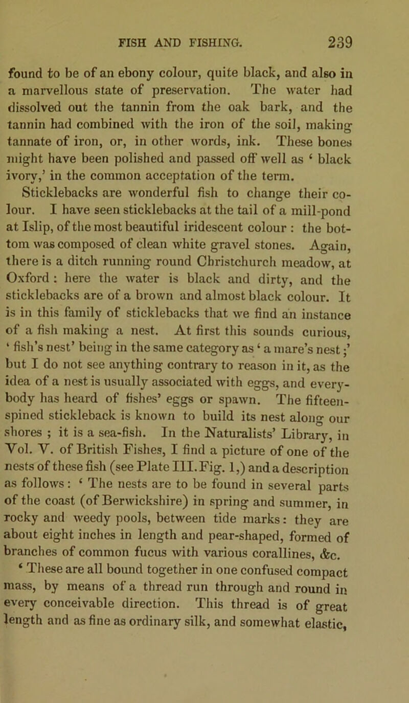 found to be of an ebony colour, quite black, and also in a marvellous state of preservation. The water had dissolved out the tannin from the oak bark, and the tannin had combined with the iron of the soil, making tannate of iron, or, in other words, ink. These bones might have been polished and passed off well as * black ivory,’ in the common acceptation of the term. Sticklebacks are wonderful fish to change their co- lour. I have seen sticklebacks at the tail of a mill-pond at Islip, of the most beautiful iridescent colour : the bot- tom was composed of clean white gravel stones. Again, there is a ditch running round Christchurch meadow, at Oxford: here the water is black and dirty, and the sticklebacks are of a brown and almost black colour. It is in this family of sticklebacks that we find an instance of a fish making a nest. At first this sounds curious, ‘ fish’s nest’ being in the same category as ‘ a mare’s nest but I do not see anything contrary to reason in it, as the idea of a nest is usually associated with eggs, and every- body has heard of fishes’ eggs or spawn. The fifteen- spined stickleback is known to build its nest along our shores ; it is a sea-fish. In the Naturalists’ Library, in Vol. Y. of British Fishes, I find a picture of one of the nests of these fish (see Plate III. Fig. 1,) and a description as follows: ‘ The nests are to be found in several parts of the coast (of Berwickshire) in spring and summer, in rocky and weedy pools, between tide marks: they are about eight inches in length and pear-shaped, formed of branches of common fucus with various corallines, &c. ‘ These are all bound together in one confused compact mass, by means of a thread run through and round in every conceivable direction. This thread is of great length and as fine as ordinary silk, and somewhat elastic,