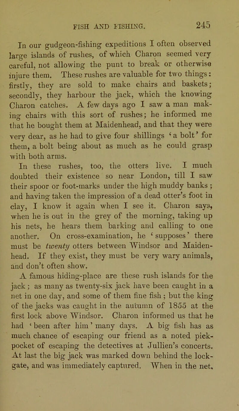 In our gudgeon-fishing expeditions I often observed large islands of rushes, of which Charon seemed very careful, not allowing the punt to break or otherwise injure them. These rushes are valuable for two things: firstly, they are sold to make chairs and baskets; secondly, they harbour the jack, which the knowing Charon catches. A few days ago I saw a man mak- ing chairs with this sort of rushes; he informed me that he bought them at Maidenhead, and that they were very dear, as he had to give four shillings ‘ a bolt ’ for them, a bolt being about as much as he could grasp with both arms. In these rushes, too, the otters live. I much doubted their existence so near London, till I saw their spoor or foot-marks under the high muddy banks ; and having taken the impression of a dead otter’s foot in clay, I know it again when I see it. Charon says, when he is out in the grey of the morning, taking up his nets, he hears them barking and calling to one another. On cross-examination, he £ supposes ’ there must be twenty otters between Windsor and Maiden- head. If they exist, they must be very wary animals, and don’t often show. A famous hiding-place are these rush islands for the jack; as many as twenty-six jack have been caught in a net in one day, and some of them fine fish ; but the king of the jacks was caught in the autumn of 1855 at the first lock above Windsor. Charon informed us that he had ‘ been after him ’ many days. A big fish has as much chance of escaping our friend as a noted pick- pocket of escaping the detectives at Jullien’s concerts. At last the big jack was marked down behind the lock- gate, and was immediately captured. When in the net.