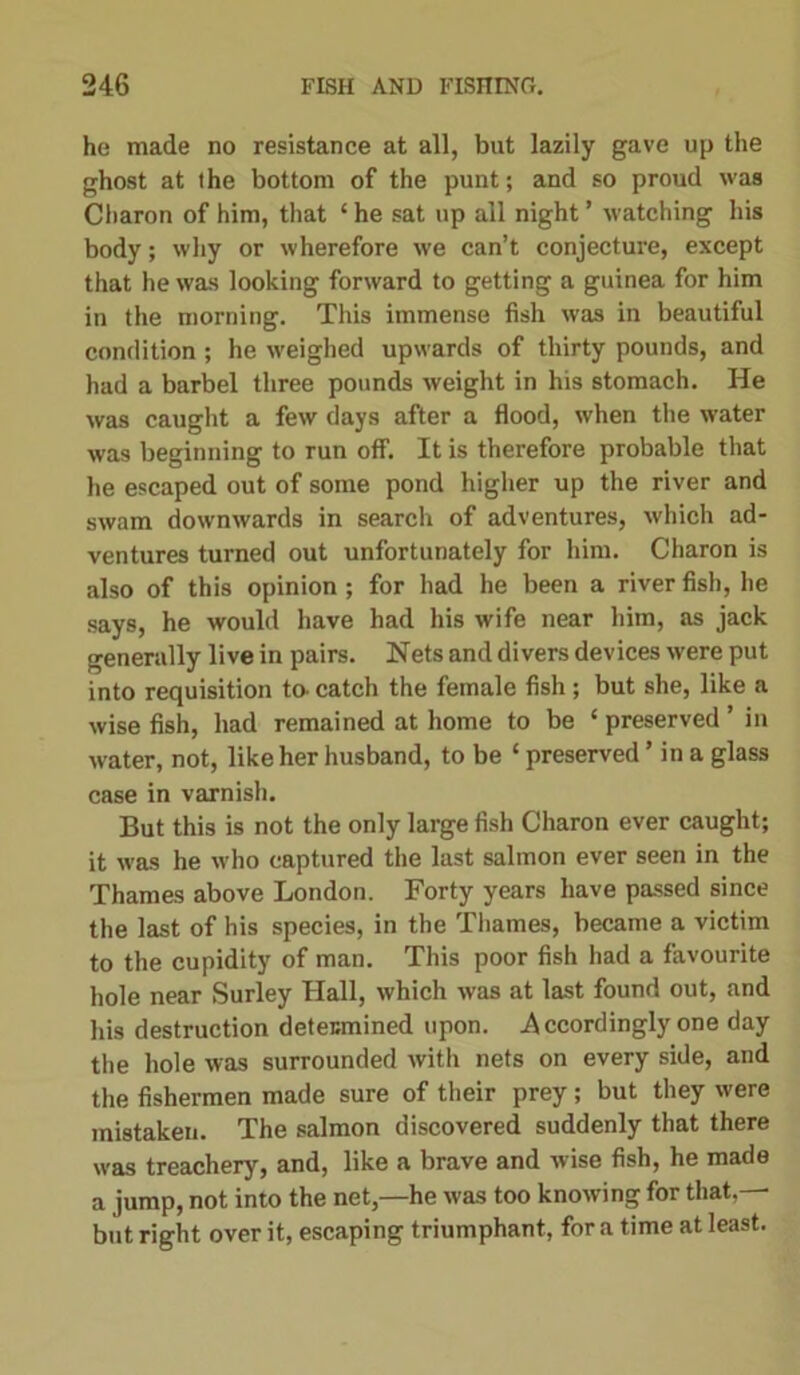 he made no resistance at all, but lazily gave up the ghost at the bottom of the punt; and so proud was Charon of him, that ‘ he sat up all night ’ watching his body; why or wherefore we can’t conjecture, except that he was looking forward to getting a guinea for him in the morning. This immense fish was in beautiful condition ; he weighed upwards of thirty pounds, and had a barbel three pounds weight in his stomach. He was caught a few days after a flood, when the water was beginning to run off. It is therefore probable that he escaped out of some pond higher up the river and swam downwards in search of adventures, which ad- ventures turned out unfortunately for him. Charon is also of this opinion; for had he been a river fish, he says, he would have had his wife near him, as jack generally live in pairs. Nets and divers devices were put into requisition to. catch the female fish; but she, like a wise fish, had remained at home to be ‘ preserved ’ in water, not, like her husband, to be ‘ preserved ’ in a glass case in varnish. But this is not the only large fish Charon ever caught; it was he who captured the last salmon ever seen in the Thames above London. Forty years have passed since the last of his species, in the Thames, became a victim to the cupidity of man. This poor fish had a favourite hole near Surley Hall, which was at last found out, and his destruction deteumined upon. Accordingly one day the hole was surrounded with nets on every side, and the fishermen made sure of their prey; but they were mistaken. The salmon discovered suddenly that there was treachery, and, like a brave and wise fish, he made a jump, not into the net,—he was too knowing for that,— but right over it, escaping triumphant, for a time at least.