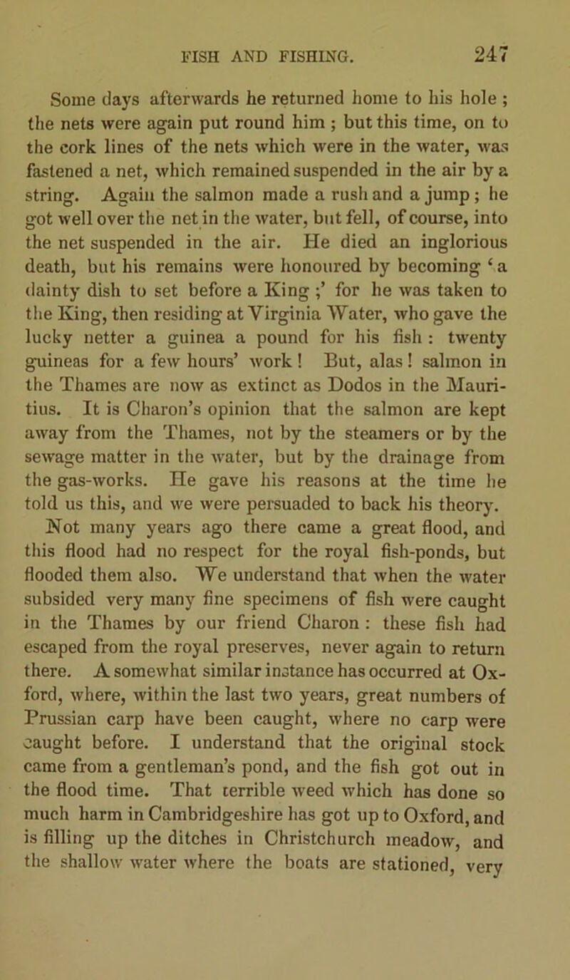 Some clays afterwards he returned home to his hole ; the nets were again put round him ; but this time, on to the cork lines of the nets which were in the water, was fastened a net, which remained suspended in the air by a string. Again the salmon made a rush and a jump; he got well over the net in the water, but fell, of course, into the net suspended in the air. He died an inglorious death, but his remains were honoured by becoming ‘a dainty dish to set before a King ;’ for he was taken to the King, then residing at Virginia Water, who gave the lucky netter a guinea a pound for his fish : twenty guineas for a few hours’ work ! But, alas! salmon in the Thames are now as extinct as Dodos in the Mauri- tius. It is Charon’s opinion that the salmon are kept away from the Thames, not by the steamers or by the sewage matter in the water, but by the drainage from the gas-works. He gave his reasons at the time he told us this, and we were persuaded to back his theory. Not many years ago there came a great flood, and this flood had no respect for the royal fish-ponds, but flooded them also. We understand that when the water subsided very many fine specimens of fish were caught in the Thames by our friend Charon : these fish had escaped from the royal preserves, never again to return there. A somewhat similar instance has occurred at Ox- ford, where, within the last two years, great numbers of Prussian carp have been caught, where no carp were caught before. I understand that the original stock came from a gentleman’s pond, and the fish got out in the flood time. That terrible weed which has done so much harm in Cambridgeshire has got up to Oxford, and is filling up the ditches in Christchurch meadow, and the shallow water where the boats are stationed, very