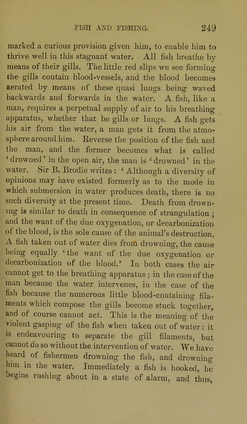 marked a curious provision given him, to enable him to thrive well in this stagnant water. All fish breathe by- means of their gills. The little red slips we see forming the gills contain blood-vessels, and the blood becomes aerated by means of these quasi lungs being waved backwards and forwards in the water. A fish, like a man, requires a perpetual supply of air to his breathing apparatus, whether that be gills or lungs. A fish gets his air from the water, a man gets it from the atmo- sphere around him. Reverse the position of the fish and the man, and the former becomes what is called ‘ drowned ’ in the open air, the man is 1 drowned ’ in the water. Sir B. Brodie writes : ‘ Although a diversity of opiuions may nave existed formerly as to the mode in which submersion in water produces death, there is no such diversity at the present time. Death from drown- ing is similar to death in consequence of strangulation ; and the want of the due oxygenation, or decarbonization of the blood, is the sole cause of the animal’s destruction. A fish taken out of water dies from drowning, the cause being equally ‘ the want of the due oxygenation or decarbonization of the blood.5 In both cases the air cannot get to the breathing apparatus : in the case of the man because the water intervenes, in the case of the fish because the numerous little blood-containing fila- ments which compose the gills become stuck together, and of course cannot act. This is the meaning of the violent gasping of the fish when taken out of water: it is endeavouring to separate the gill filaments, but cannot do so without the intervention of water. We have heard of fishermen drowming the fish, and drowning him in the water. Immediately a fish is hooked, he begins rushing about in a state of alarm, and thus,