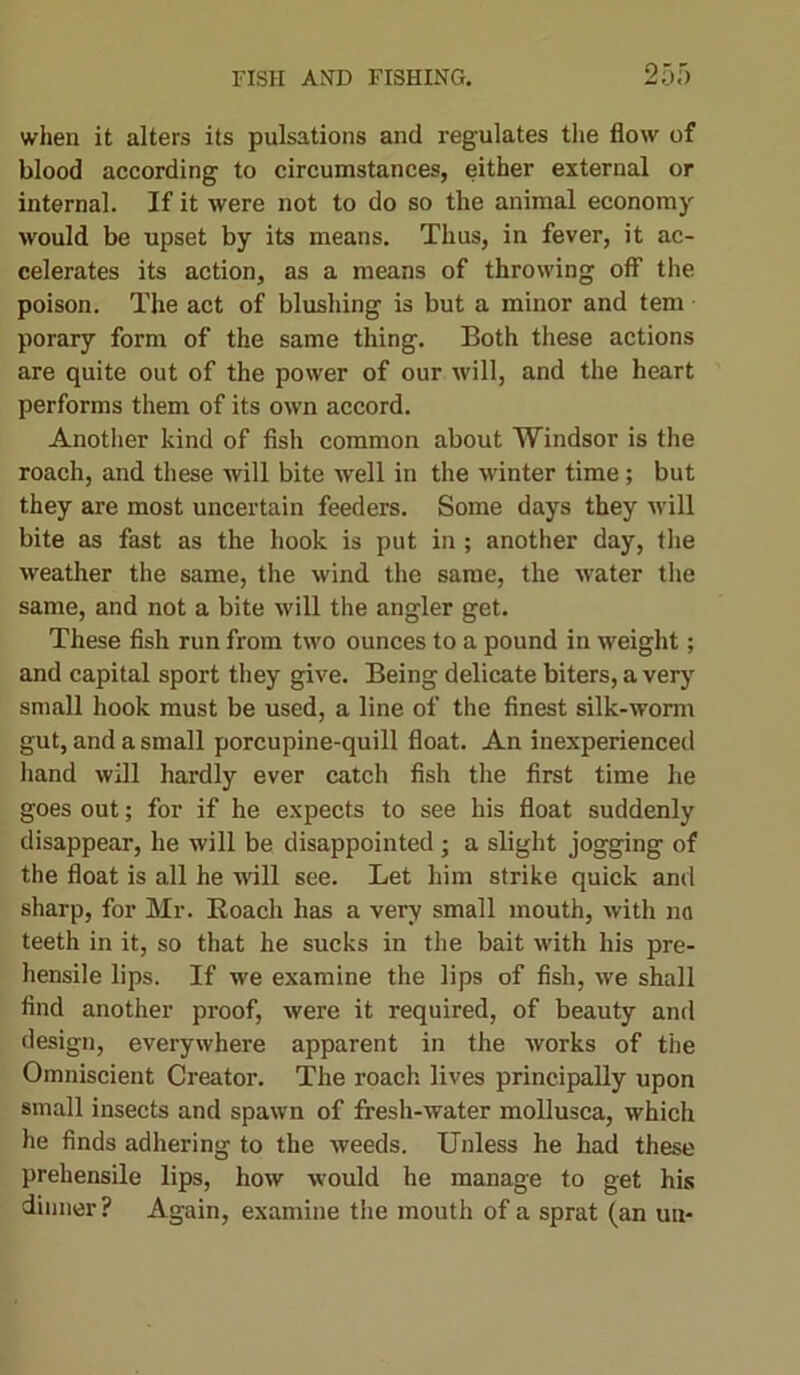 when it alters its pulsations and regulates the flow of blood according to circumstances, either external or internal. If it were not to do so the animal economy would be upset by its means. Thus, in fever, it ac- celerates its action, as a means of throwing off the poison. The act of blushing is but a minor and tem porary form of the same thing. Both these actions are quite out of the power of our will, and the heart performs them of its own accord. Another kind of fish common about Windsor is the roach, and these will bite well in the winter time; but they are most uncertain feeders. Some days they will bite as fast as the hook is put in; another day, the weather the same, the wind the same, the water the same, and not a bite will the angler get. These fish run from two ounces to a pound in weight; and capital sport they give. Being delicate biters, a very small hook must be used, a line of the finest silk-worm gut, and a small porcupine-quill float. An inexperienced hand will hardly ever catch fish the first time he goes out; for if he expects to see his float suddenly disappear, he will be disappointed ; a slight jogging of the float is all he rvill see. Let him strike quick and sharp, for Mr. Roach has a very small mouth, with no teeth in it, so that he sucks in the bait with his pre- hensile lips. If we examine the lips of fish, we shall find another proof, were it required, of beauty and design, everywhere apparent in the works of the Omniscient Creator. The roach lives principally upon small insects and spawn of fresh-water mollusca, which he finds adhering to the weeds. Unless he had these prehensile lips, how would he manage to get his dinner? Again, examine the mouth of a sprat (an un-