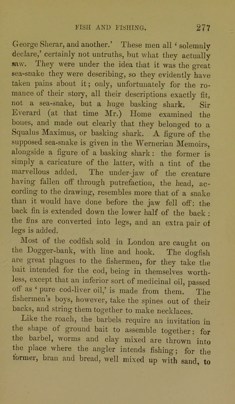 George Sherar, and another.’ Tliese men all £ solemnly declare,’ certainly not untruths, hut what they actually saw. They were under the idea that it was the great sea-snake they were describing, so they evidently have taken pains about it; only, unfortunately for the ro- mance of their stoiy, all their descriptions exactly fit, not a sea-snake, but a huge basking shark. Sir Everard (at that time Mr.) Home examined the bones, and made out clearly that they belonged to a Squalus Maximus, or basking shark. A figure of the supposed sea-snake is given in the Wernerian Memoirs, alongside a figure of a basking shark: the former is simply a caricature of the latter, with a tint of the marvellous added. The under-jaw of the creature having fallen off through putrefaction, the head, ac- cording to the drawing, resembles more that of a snake than it would have done before the jaw fell off: the back fin is extended down the lower half of the back : the fins are converted into legs, and an extra pair of legs is added. Most of the codfish sold in London are caught on the Dogger-bank, with line and hook. The dogfish are great plagues to the fishermen, for they take the bait intended for the cod, being in themselves worth- less, except that an inferior sort of medicinal oil, passed off as ‘ pure cod-liver oil,’ is made from them. The fishermen’s boys, however, take the spines out of their backs, and string them together to make necklaces. Like the roach, the barbels require an invitation in the shape of ground bait to assemble together: for the barbel, worms and clay mixed are thrown into the place where the angler intends fishing; for the former, bran and bread, well mixed up with sand, to