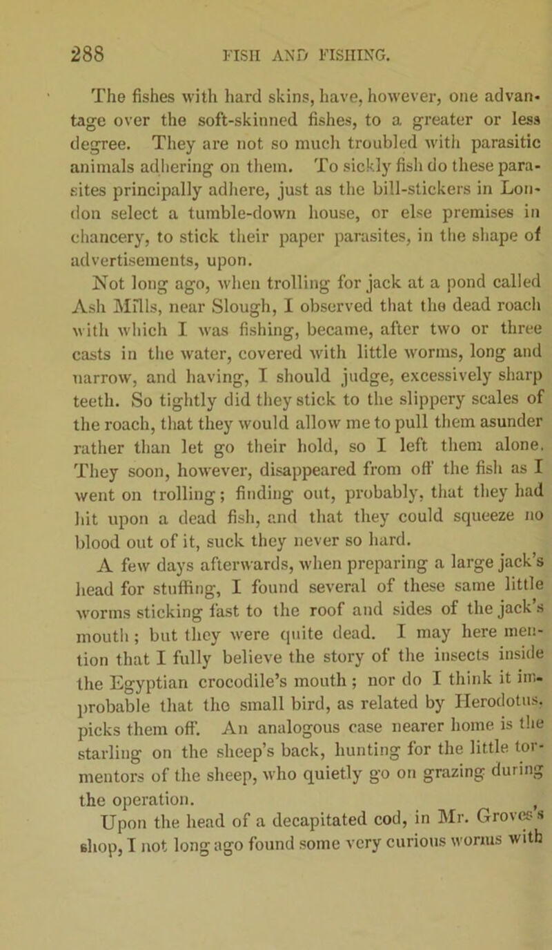 The fishes with hard skins, have, however, one advan- tage over the soft-skinned fishes, to a greater or less degree. They are not so much troubled with parasitic animals adhering on them. To sickly fish do these para- sites principally adhere, just as the bill-stickers in Lon- don select a tumble-down house, or else premises in chancery, to stick their paper parasites, in the shape of advertisements, upon. Not long ago, when trolling for jack at a pond called Ash Mills, near Slough, I observed that the dead roach with which I was fishing, became, after two or three casts in the water, covered with little worms, long and narrow, and having, I should judge, excessively sharp teeth. So tightly did they stick to the slippery scales of the roach, that they would allow me to pull them asunder rather than let go their hold, so I left them alone. They soon, however, disappeared from off the fish as I went on trolling; finding out, probably, that they had hit upon a dead fish, and that they could squeeze no blood out of it, suck they never so hard. A few days afterwards, when preparing a large jack’s head for stuffing, I found several of these same little worms sticking fast to the roof and sides of the jack’s mouth; but they were quite dead. I may here men- tion that I fully believe the story of the insects inside the Egyptian crocodile’s mouth ; nor do I think it ini. probable that the small bird, as related by Herodotus, picks them off. An analogous case nearer home is the starling on the sheep’s back, hunting for the little tor- mentors of the sheep, who quietly go on grazing during the operation. f Upon the head of a decapitated cod, in Mr. Groves s shop, I not long ago found some very curious worms with