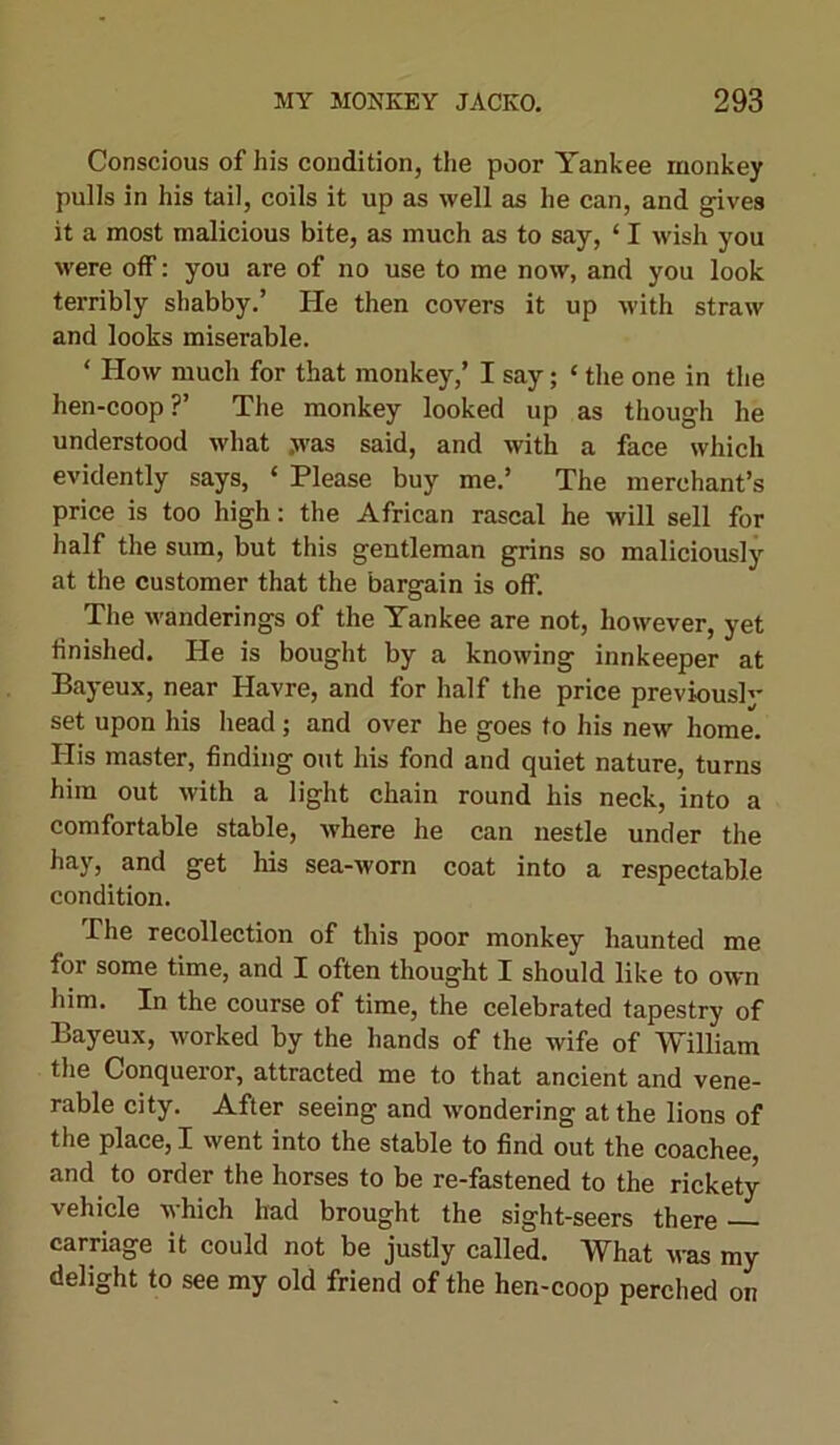Conscious of his condition, the poor Yankee monkey pulls in his tail, coils it up as well as he can, and gives it a most malicious bite, as much as to say, ‘ I wish you ■were off: you are of no use to me now, and you look terribly shabby.’ He then covers it up with straw and looks miserable. ‘ How much for that monkey,’ I say; ‘ the one in the hen-coop?’ The monkey looked up as though he understood what .was said, and with a face which evidently says, ‘ Please buy me.’ The merchant’s price is too high: the African rascal he will sell for half the sum, but this gentleman grins so maliciously at the customer that the bargain is oft’. The wanderings of the Yankee are not, however, yet finished. He is bought by a knowing innkeeper at Bayeux, near Havre, and for half the price previous!'- set upon his head; and over he goes to his new home. His master, finding out his fond and quiet nature, turns him out with a light chain round his neck, into a comfortable stable, where he can nestle under the hay, and get his sea-worn coat into a respectable condition. .The recollection of this poor monkey haunted me for some time, and I often thought I should like to own him. In the course of time, the celebrated tapestry of Bayeux, worked by the hands of the wife of William the Conqueror, attracted me to that ancient and vene- rable city. After seeing and wondering at the lions of the place, I went into the stable to find out the coachee, and to order the horses to be re-fastened to the rickety vehicle which had brought the sight-seers there — carriage it could not be justly called. What was my delight to see my old friend of the hen-coop perched on