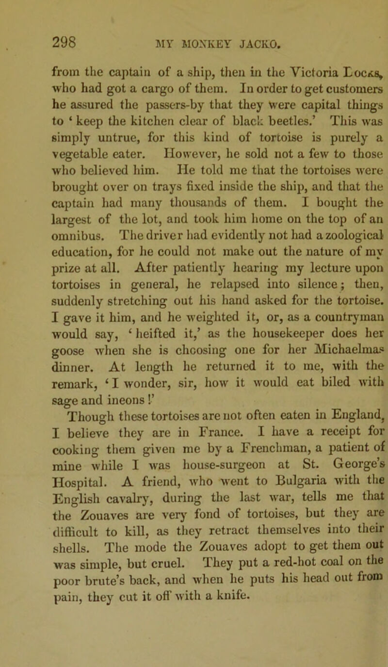 from the captain of a ship, then in the Victoria Locks* who had got a cargo of them. In order to get customers he assured the passers-by that they Were capital things to ‘ keep the kitchen clear of black beetles.’ This was simply untrue, for this kind of tortoise is purely a vegetable eater. However, he sold not a few to those who believed him. He told me that the tortoises were brought over on trays fixed inside the ship, and that the captain had many thousands of them. I bought the largest of the lot, and took him home on the top of an omnibus. The driver had evidently not had a zoological education, for he could not make out the nature of my prize at all. After patiently hearing my lecture upon tortoises in general, he relapsed into silence; then, suddenly stretching out his hand asked for the tortoise. I gave it him, and he weighted it, or, as a countryman would say, ‘ heifted it,’ as the housekeeper does her goose when she is choosing one for her Michaelmas dinner. At length he returned it to me, with the remark, ‘ I wonder, sir, how it would eat biled with sage and ineons!’ Though these tortoises are not often eaten in England, I believe they are in France. I have a receipt for cooking them given me by a Frenchman, a patient of mine while I was house-surgeon at St. George’s Hospital. A friend, who went to Bulgaria with the English cavalry, during the last war, tells me that the Zouaves are very fond of tortoises, but they are difficult to kill, as they retract themselves into their shells. The mode the Zouaves adopt to get them out was simple, but cruel. I hey put a red-hot coal on the poor brute’s back, and when he puts his head out from pain, they cut it off with a knife.