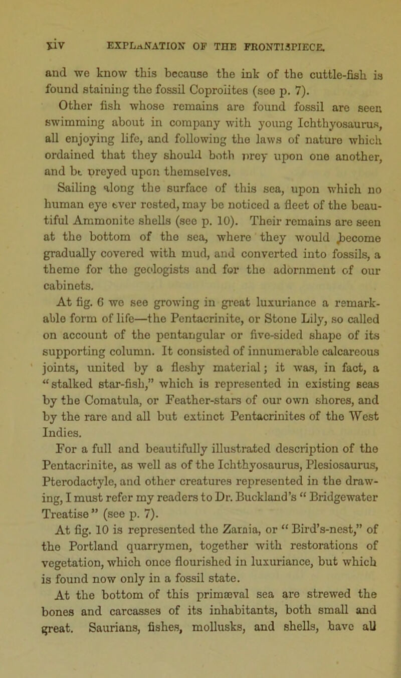 and we know this because the ink of the cuttle-fish is found staining the fossil Coproiites (see p. 7). Other fish whose remains are found fossil are seen swimming about in company with young Ichthyosaurus, all enjoying life, and following the laws of nature which ordained that they should both prey upon one another, and bt preyed upcn themselves. Sailing along the surface of this sea, upon which no human eye ever rested, may be noticed a fleet of the beau- tiful Ammonite shells (see p. 10). Their remains are seen at the bottom of the sea, where they would become gradually covered with mud, and converted into fossils, a theme for the geologists and for the adornment of our cabinets. At fig. 6 we see growing in great luxuriance a remark- able form of life—the Pentacrinite, or Stone Lily, so called on account of the pentangular or five-sided shape of its supporting column. It consisted of innumerable calcareous joints, united by a fleshy material; it was, in fact, a “stalked star-fish,” which is represented in existing seas by the Comatula, or Feather-stars of our own shores, and by the rare and all but extinct Pentacrinites of the West Indies. For a full and beautifully illustrated description of the Pentacrinite, as well as of the Ichthyosaurus, Plesiosaurus, Pterodact.yle, and other creatures represented in the draw- ing, I must refer my readers to Dr. Buckland’s “ Bridgewater Treatise” (see p. 7). At fig. 10 is represented the Zarnia, or “ Bird’s-nest,” of the Portland quarrymen, together with restorations of vegetation, which once flourished in luxuriance, but which is found now only in a fossil state. At the bottom of this primaeval sea are strewed the bones and carcasses of its inhabitants, both small and great. Saurians, fishes, mollusks, and shells, have all