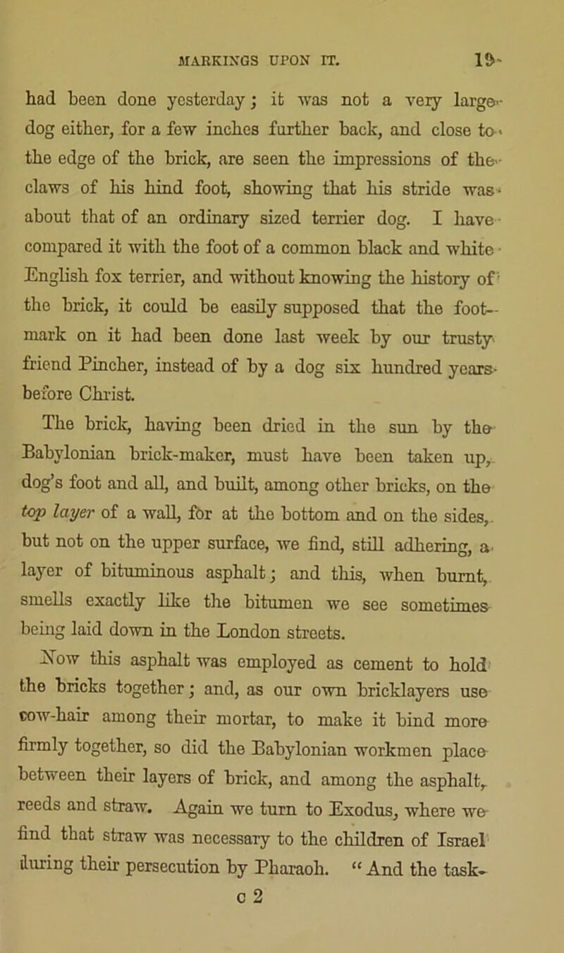 had been done yesterday; it was not a very large-- dog either, for a few inches farther hack, and close to - the edge of the brick, are seen the impressions of tlie-- claws of his hind foot, showing that his stride was- about that of an ordinary sized terrier dog. I have • compared it with the foot of a common black and white • English fox terrier, and without knowing the history of; the brick, it could be easily supposed that the foot- mark on it had been done last week by our trusty- friend Fincher, instead of by a dog six hundred years- before Christ. The brick, having been dried in the sun by the Babylonian brick-maker, must have been taken up,_ dog’s foot and all, and built, among other bricks, on the top layer of a wall, for at the bottom and on the sides, but not on the upper surface, we find, still adhering, a layer of bituminous asphalt; and this, when burnt, smells exactly like the bitumen we see sometimes be big laid down in the London streets. 2sTow this asphalt was employed as cement to hold the bricks together; and, as our own bricklayers use cow-hair among their mortar, to make it bind more firmly together, so did the Babylonian workmen place between their layers of brick, and among the asphalt,, reeds and straw. Again we turn to Exodus, where we find that straw was necessary to the children of Israel iluring their persecution by Pharaoh. “ And the task*
