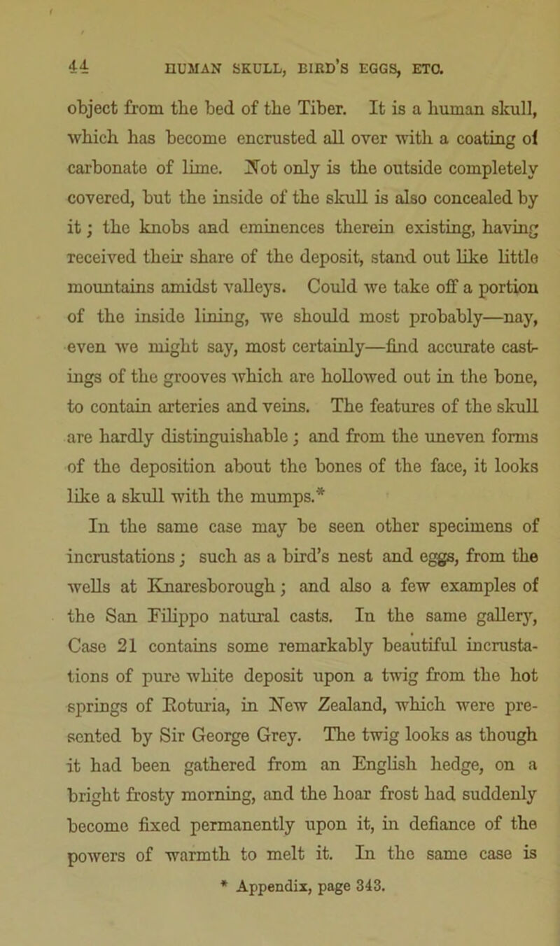 44: HUMAN SKULL, BIRD’S EGGS, ETC. object from tbe bed of tbe Tiber. It is a human skull, which has become encrusted all over with a coating ol carbonate of lime. Not only is the outside completely covered, but the inside of the skull is also concealed by it; the knobs and eminences therein existing, having received then- share of the deposit, stand out like little mountains amidst valleys. Could we take off a portion of the inside lining, we should most probably—nay, even we might say, most certainly—find accurate cast- ings of the grooves Avhich are hollowed out in the bone, to contain arteries and veins. The features of the skull are hardly distinguishable; and from the uneven forms of the deposition about the bones of the face, it looks like a skull with the mumps.* In the same case may be seen other specimens of incrustations; such as a bird’s nest and eggs, from the wells at Knarcsborough; and also a few examples of the San Filippo natural casts. In the same gallery, Case 21 contains some remarkably beautiful incrusta- tions of pure white deposit upon a twig from the hot springs of Eoturia, in New Zealand, which were pre- sented by Sir George Grey. The twig looks as though it had been gathered from an English hedge, on a bright frosty morning, and the hoar frost had suddenly become fixed permanently upon it, in defiance of the powers of warmth to melt it. In the same case is * Appendix, page 343.