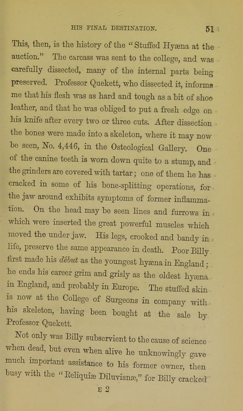 This, then, is the history of the “ Stuffed Hyaena at the auction.” The carcass was sent to the college, and was carefully dissected, many of the internal parts being preserved. Professor Quekett, who dissected it, informs me that his flesh was as hard and tough as a bit of shoo leather, and that he was obliged to put a fresh edge on his knife after every two or three cuts. After dissection the bones were made into a skeleton, where it may now be seen, Ho. 4,446, in the Osteological Gallery. One of the canine teeth is worn down quite to a stump, and the grinders are covered with tartar; one of them he has cracked in some of his bone-splitting operations, for the jaw around exhibits symptoms of former inflamma- tion. On the head may be seen lines and furrows in which were inserted the great powerful muscles which moved the under jaw. His legs, crooked and bandy in life, preserve the same appearance in death. Poor Pilly first made his debut as the youngest hyama in England; he ends his career grim and grisly as the oldest hymna hi England, and probably in Europe. The stuffed skin is now at the College of Surgeons in company with his skeleton, having been bought at the sale by Professor Quekett. Hot only was Billy subservient to the cause of science when dead, but even when alive he unknowingly gave much important assistance to his former owner, then busy with the “Eeliquue Diluviame,” for Billy cracked