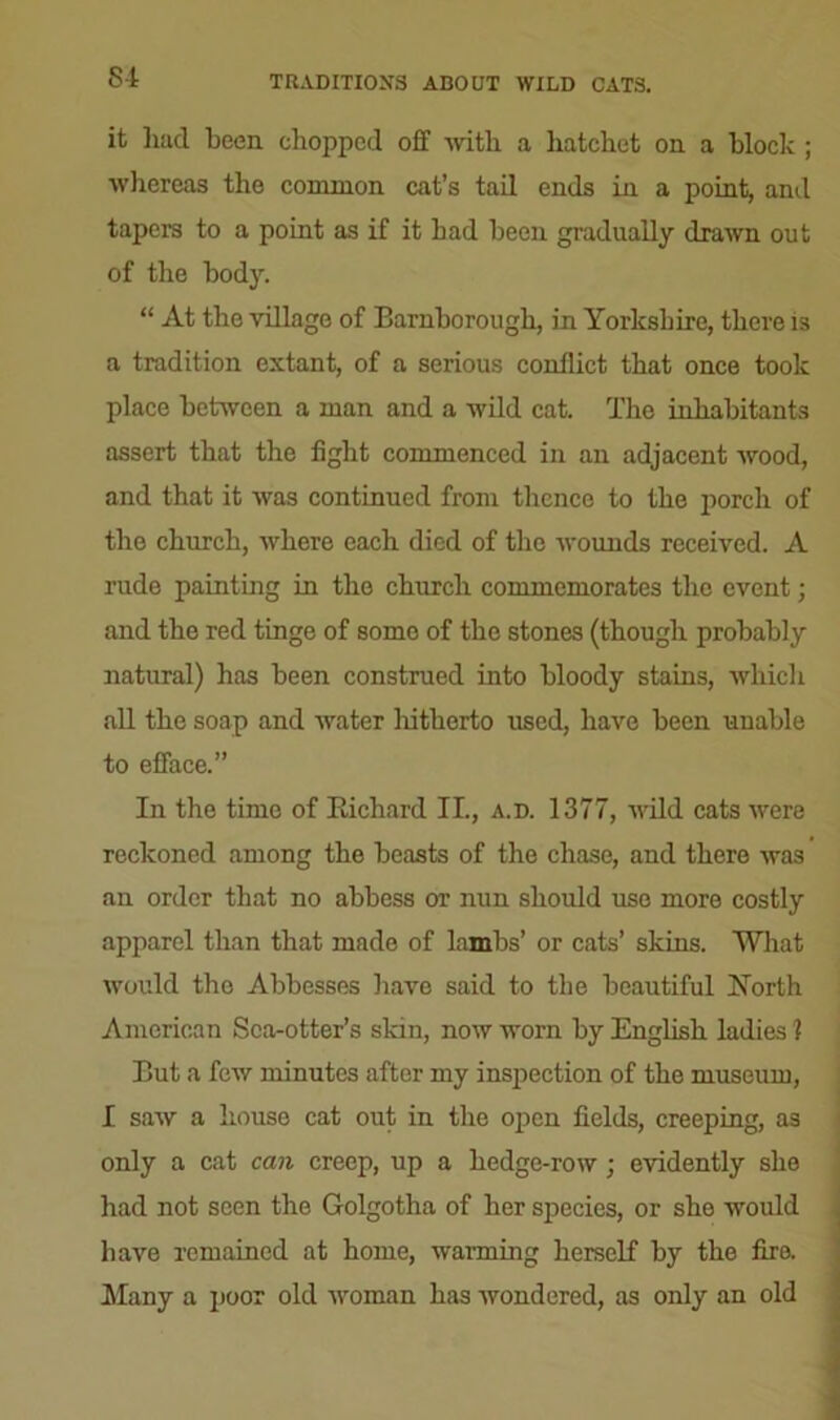 it had been chopped off with a hatchet or a block ; whereas the common cat’s tail ends in a point, and tapers to a point as if it bad been gradually drawn out of the body. “ At the village of Barnborough, in Yorkshire, there is a tradition extant, of a serious conflict that once took place between a man and a wild cat. The inhabitants assert that the fight commenced in an adjacent wood, and that it was continued from thence to the porch of the church, where each died of the wounds received. A rude painting in the church commemorates the event; and the red tinge of some of the stones (though probably natural) has been construed into bloody stains, which all the soap and water liitherto used, have been unable to efface.” In the time of Richard II., a.d. 1377, wild cats were reckoned among the beasts of the chase, and there was an order that no abbess or nun should use more costly apparel than that made of lambs’ or cats’ skins. What would the Abbesses have said to the beautiful North American Sea-otter’s skin, now worn by English ladies 1 But a few minutes after my inspection of the museum, I saw a house cat out in the open fields, creeping, as only a cat can creep, up a hedge-row; evidently she had not seen the Golgotha of her species, or she would have remained at home, warming herself by the fire. Many a poor old woman has wondered, as only an old