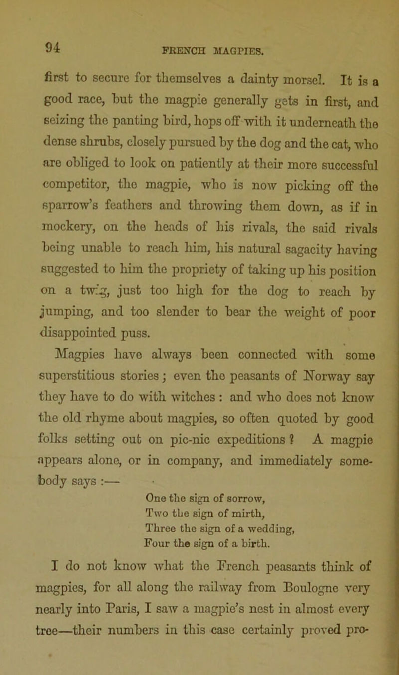 FRENCH MAGPIES. first to secure for themselves a dainty morsel. It is a good race, hut the magpie generally gets in first, and seizing the panting bird, hops off with it underneath the dense shrubs, closely pursued by the dog and the cat, who are obliged to look on patiently at their more successful competitor, the magpie, who is now picking off the sparrow’s feathers and throwing them down, as if in mockery, on the heads of his rivals, the said rivals being unable to reach him, his natural sagacity having suggested to him the propriety of talcing up his position on a twig, just too high for the dog to reach by jumping, and too slender to bear the weight of poor disappointed puss. Magpies have always been connected with some superstitious stories; even the peasants of Norway say they have to do with witches : and who does not know the old rhyme about magpies, so often quoted by good folks setting out on pic-nie expeditions 1 A magpie appears alone, or in company, and immediately some- body says :— One the sign of sorrow, Two the sign of mirth. Three the sign of a wedding, Four the sign of a birth. I do not know what the French peasants think of magpies, for all along the railway from Boulogne very nearly into Paris, I saw a magpie’s nest in almost every tree—their numbers in this case certainly proved pro-