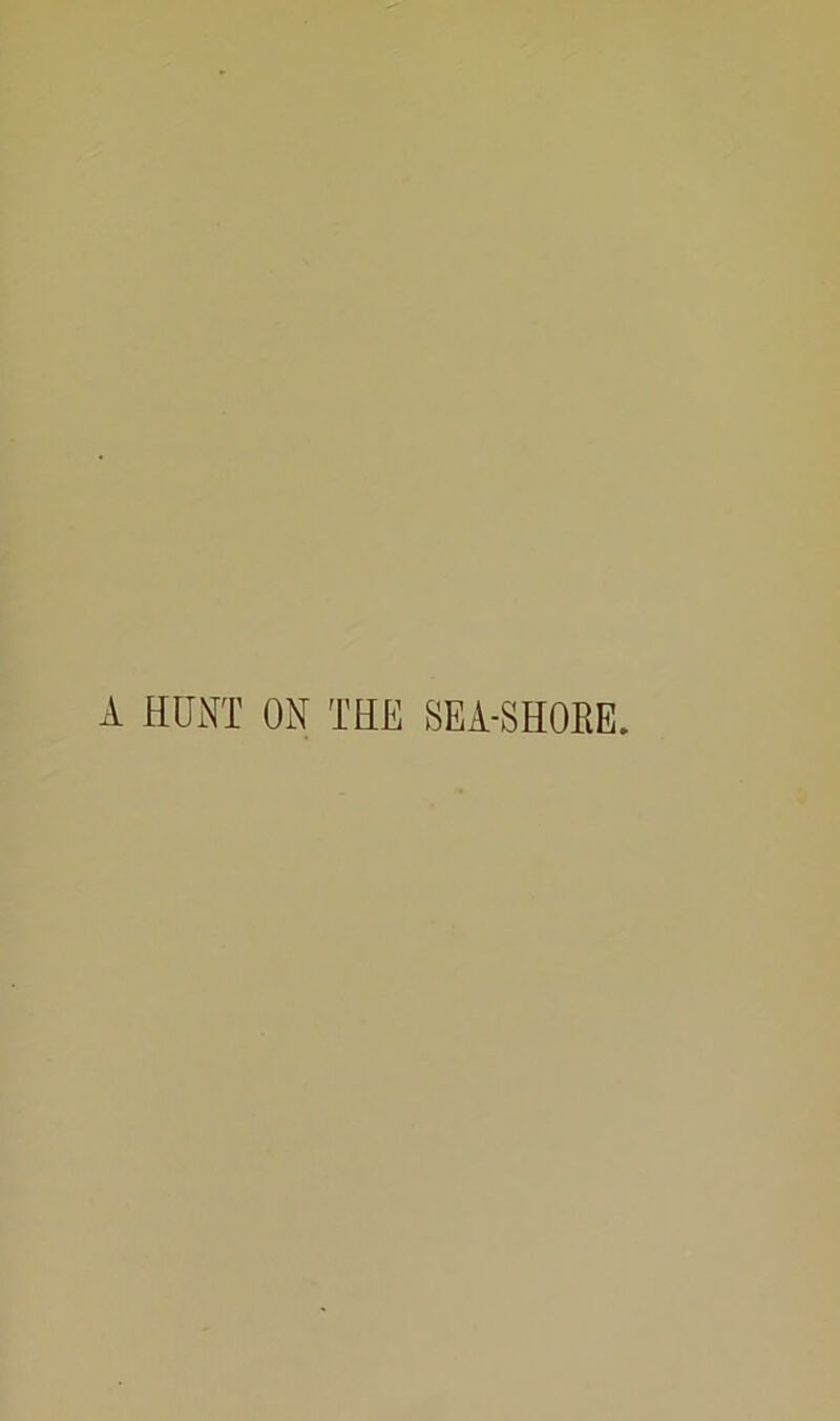 A HUNT ON THE SEA-SHORE.