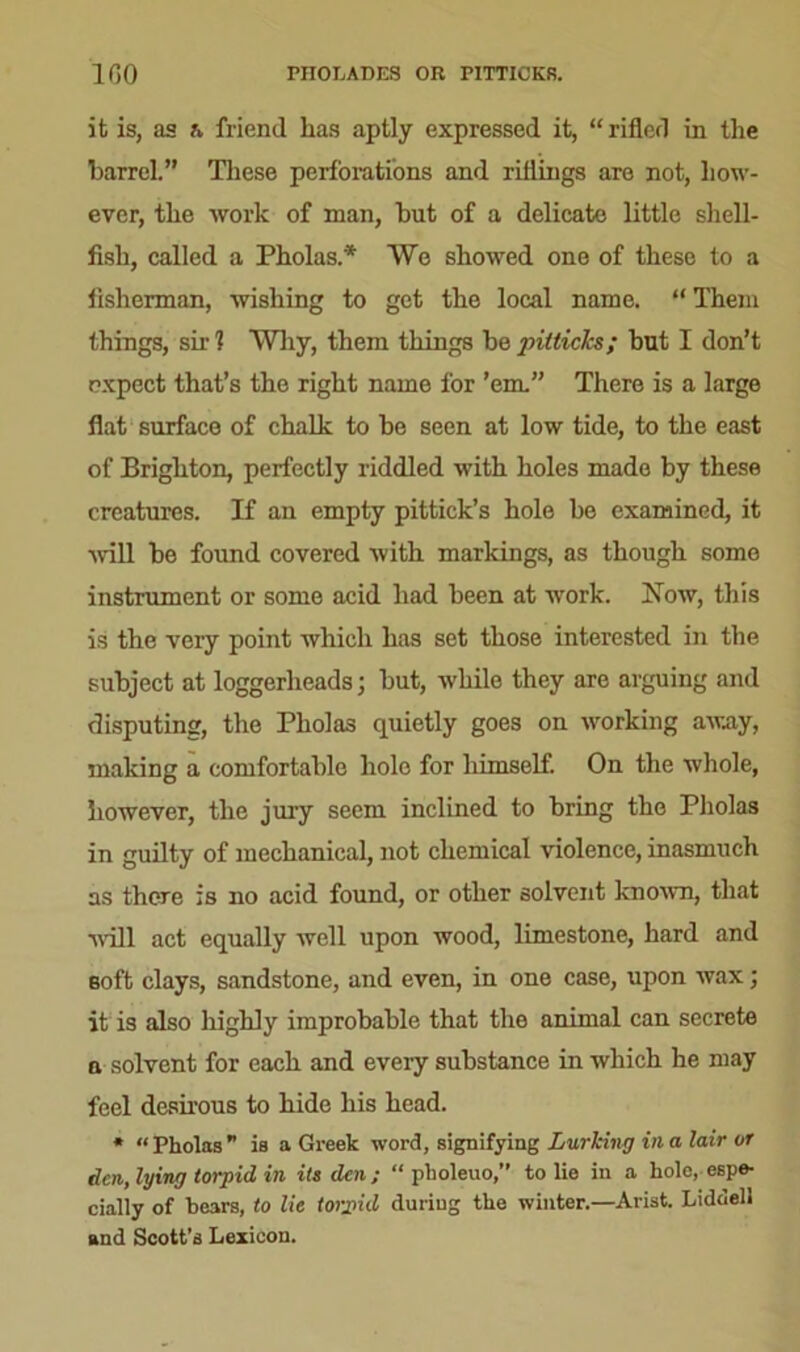 it is, as ?v friend has aptly expressed it, “rifled in the barrel.” These perforations and riflings are not, how- ever, the work of man, hut of a delicate little shell- fish, called a Pholas.* We showed one of these to a fisherman, wishing to get the local name. “ Them things, sir 1 Why, them things he pitlich; hut I don’t expect that’s the right name for ’em.” There is a large flat surface of chalk to he seen at low tide, to the east of Brighton, perfectly riddled with holes made by these creatures. If an empty pittick’s hole he examined, it will he found covered with markings, as though some instrument or some acid had been at work. Now, this is the very point which has set those interested in the subject at loggerheads; hut, while they are arguing and disputing, the Pholas quietly goes on working away, making a comfortable hole for himself. On the whole, however, the jury seem inclined to bring the Pholas in guilty of mechanical, not chemical violence, inasmuch as there is no acid found, or other solvent known, that wall act equally well upon wood, limestone, hard and soft clays, sandstone, and even, in one case, upon wax; it is also highly improbable that the animal can secrete a solvent for each and every substance in which he may feel desirous to hide his head. * “Pholas is a Greek word, signifying Lurking in a lair or den, lying torpid in its den ; “ pholeuo,” to lie in a hole, espe- cially of hears, to lie torpid during the winter.—Arist. Liddell and Scott’s Lexicon.