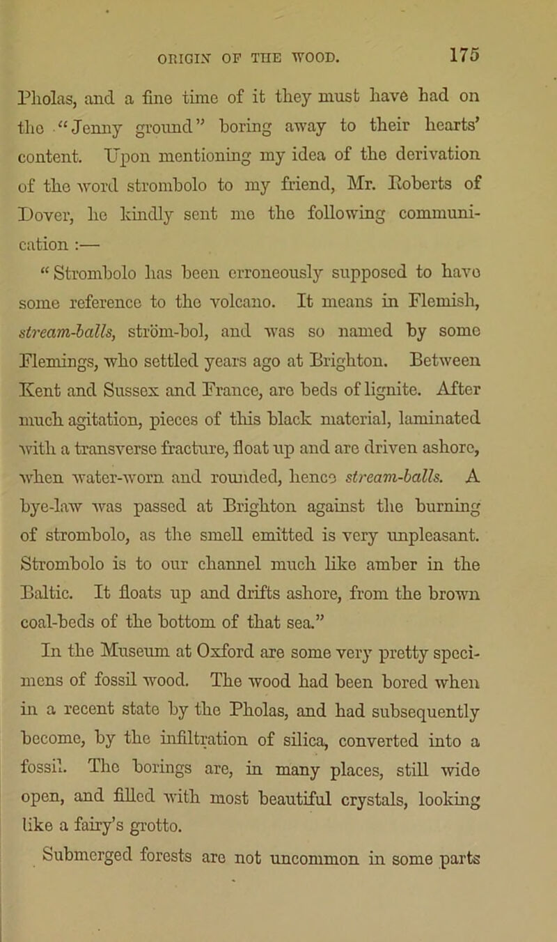 Pliolas, and a fine time of it tlioy must have had on the “Jenny ground” boring away to their hearts’ content. Upon mentioning my idea of the derivation of the word strombolo to my friend, Mr. Eoberts of Dover, he kindly sent me the following communi- cation :— “Strombolo has been erroneously supposed to have some reference to the volcano. It means in Flemish, stream-balls, strom-bol, and was so named by some Flemings, who settled years ago at Brighton. Between Kent and Sussex and France, are beds of lignite. After much agitation, pieces of this black material, laminated Avith a transverse fracture, float up and are driven ashore, when water-worn and rounded, hence stream-balls. A Lye-law was passed at Brighton against the burning of strombolo, as the smell emitted is very unpleasant. Strombolo is to our channel much like amber in the Baltic. It floats up and drifts ashore, from the brown coal-beds of the bottom of that sea.” In the Museum at Oxford are some very pretty speci- mens of fossil wood. The wood had been bored when in a recent state by the Pholas, and had subsequently become, by the infiltration of silica, converted into a fossil. The borings are, in many places, still wide open, and filled with most beautiful crystals, looking like a fairy’s grotto. Submerged forests are not uncommon in some parts