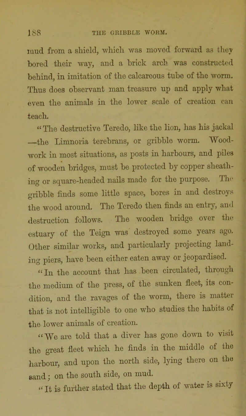 i iiud. from, a shield, which was moved forward as they bored their way, and a brick arch was constructed behind, in imitation of the calcareous tube of the worm. Thus does observant man treasure up and apply what even the animals in the lower scale of creation can teach. “ The destructive Teredo, like the lion, has his jackal —the Limnoria terebrans, or gribble worm. Wood- work in most situations, as posts in harbours, and piles of wooden bridges, must be protected by copper sheath- ing or square-headed nails made for the purpose. The gribble finds some little space, bores in and destroys the wood around. The Teredo then finds an entry, and destruction follows. The wooden bridge over the estuary of the Teign was destroyed some years ago. Other similar works, and particularly projecting land- ing piers, have been either eaten away or jeopardised. “In the account that has been circulated, through the medium of the press, of the sunken fleet, its con- dition, and the ravages of the worm, there is matter that is not intelligible to one who studies the habits of the lower annuals of creation. “We are told that a diver has gone down to visit the great fleet which he finds in the middle of the harbour, and upon the north side, lying thero on the sand; on the south side, on mud. “ It is further stated that the depth of water is sixty