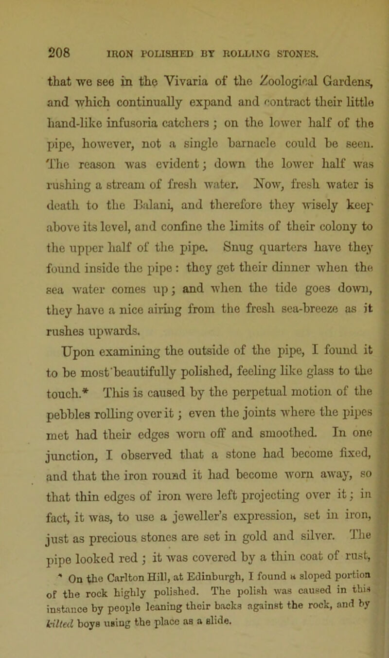 that we see in the Vivaria of the Zoological Gardens, and -which continually expand and contract their little hand-like infusoria catchers ; on the lower half of the pipe, however, not a single barnacle could be seen. The reason was evident; down the lower half was rushing a stream of fresh water. Now, fresh water is death to the Balani, and therefore they wisely keep above its level, and confine the limits of their colony to the upper half of the pipe. Snug quarters have they found inside the pipe : they get their dinner when the j sea water comes up; and when the tide goes down, they have a nice airing from the fresh sea-breeze as it rushes upwards. Upon examining the outside of the pipe, I found it to be most'beautifully polished, feeling like glass to the i touch.* This is caused by the perpetual motion of the pebbles rolling over it; even the joints where the pipes j met had their edges worn off and smoothed. In one $ jimction, I observed that a stone had become fixed, | and that the iron round it had become worn away, so | that thin edges of iron were left projecting over it; in ^ fact, it was, to use a jeweller’s expression, set in iron, just as precious stones are set in gold and silver. The pipe looked red ; it was covered by a thin coat of rust, * On the Carlton Hill, at Edinburgh, I found u sloped portion of the rock highly polished. The polish was caused in this instance by people leaning their backs against the rock, and by kilted boys using the place as a Blide.