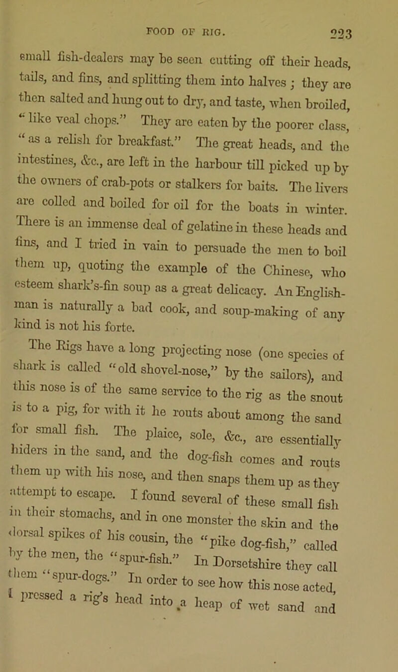 email fish-dealers may be seen cutting off their heads, tails, and fins, and splitting them into halves ; they aro then salted and hung out to dry, and taste, when broiled, *like veal choPs” They aro eaten by the poorer class, “ as a relish for breakfast,” Tire great heads, and the intestines, &c., arc left in the harbour till picked up by the owners of crab-pots or stalkers for baits. The livers are colled and boiled for oil for the boats in winter. There is an immense deal of gelatine in these heads and fins, and I tried in vain to persuade the men to boil ihem up, quoting the example of the Chinese, who esteem shark’s-fin soup as a great delicacy. An English- man is naturally a bad cook, and soup-making of any kind is not his forte. The Rigs have a long projecting nose (one species of shark is called “ old shovel-nose,” by the sailors), and this noso is of the same service to the rig as the snout ■s to a pig, for with it he routs about among the sand for small fish. The plaice, sole, &e„ are essentially bidets in the sand, and the dog-fish comes and routs them up with his nose, and then snaps them up as they attempt to escape, I found several of these small fish them stomachs, and in one monster the skin and the dorsal spikes of his cousin, the -pike dog-fish,” called y the meu, he “spur-fish.” In Dorsetshire they call Item • spur-dogs.” In „,der to ^ ho„ ftis ^ pressed a rig’s head into ,a heap of wet sand and