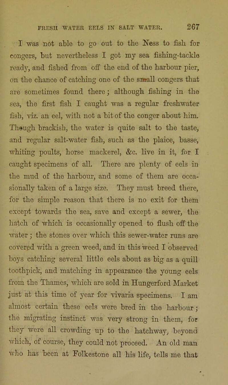 I was not able to go out to the 27ess to fish for congers, but nevertheless I got my sea fishing-tackle ready, and fished from off the end of the harbour pier, on the chance of catching one of the small congers that are sometimes found there; although fishing in the sea, the first fish I caught was a regular freshwater fish, viz. an eel, with not a bit of the conger about him. Theugh brackish, the water is quite salt to the taste, and regular salt-water fish, such as the plaice, basse, whiting poults, horse mackerel, &c. live in it, for I caught specimens of all. There are plenty of eels in the mud of the harbour, and some of them are occa- sionally taken of a large size. They must breed there, for the simple reason that there is no exit for them except towards the sea, save and except a sewer, the hatch of which is occasionally opened to flush off the water; the stones over which this sewer-water runs aTe covered with a green weed, and in this weed I observed boys catching several little eels about as big as a quill toothpick, and matching in appearance the young eels from the Thames, which are sold in Hungerford Market just at this time of year for vivaria specimens. I am almost certain these eels were bred in the harbour; the migrating instinct was very strong in them, for they were all crowding up to the hatchway, beyond which, of course, they could not proceed. An old man who has been at Folkestone all his life, tells me that