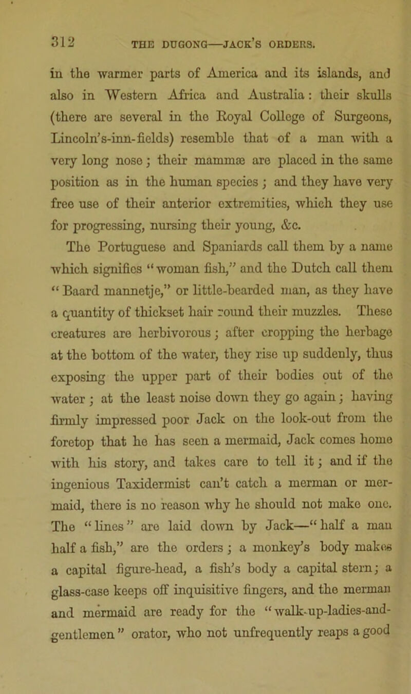 in the warmer parts of America and its islands, and also in Western Africa and Australia: their skulls (there are several in the Royal College of Surgeons, Lincoln’s-inn-fields) resemble that of a man with a very long nose; their mammae are placed in the same position as in the human species ; and they have very free use of their anterior extremities, which they use for progressing, nursing their young, &c. The Portuguese and Spaniards call them by a name which signifies “ woman fish,” and the Dutch call them “ Baard mannetje,” or little-bearded man, as they have a quantity of thickset hair round their muzzles. These creatures are herbivorous; after cropping the herbage at the bottom of the water, they rise up suddenly, thus exposing the upper part of their bodies out of the water ; at the least noise down they go again; having firmly impressed poor Jack on the look-out from the foretop that he has seen a mermaid, Jack comes homo with his story, and takes care to tell it; and if the ingenious Taxidermist can’t catch a merman or mer- maid, there is no reason why he should not make one. The “ lines ” are laid down by Jack—“ half a man half a fish,” are the orders; a monkey’s body makes a capital figure-head, a fish’s body a capital stern; a glass-case keeps off inquisitive fingers, and the merman and mermaid are ready for the “ walk-up-ladies-and- gentlemon ” orator, who not unfrequently reaps a good