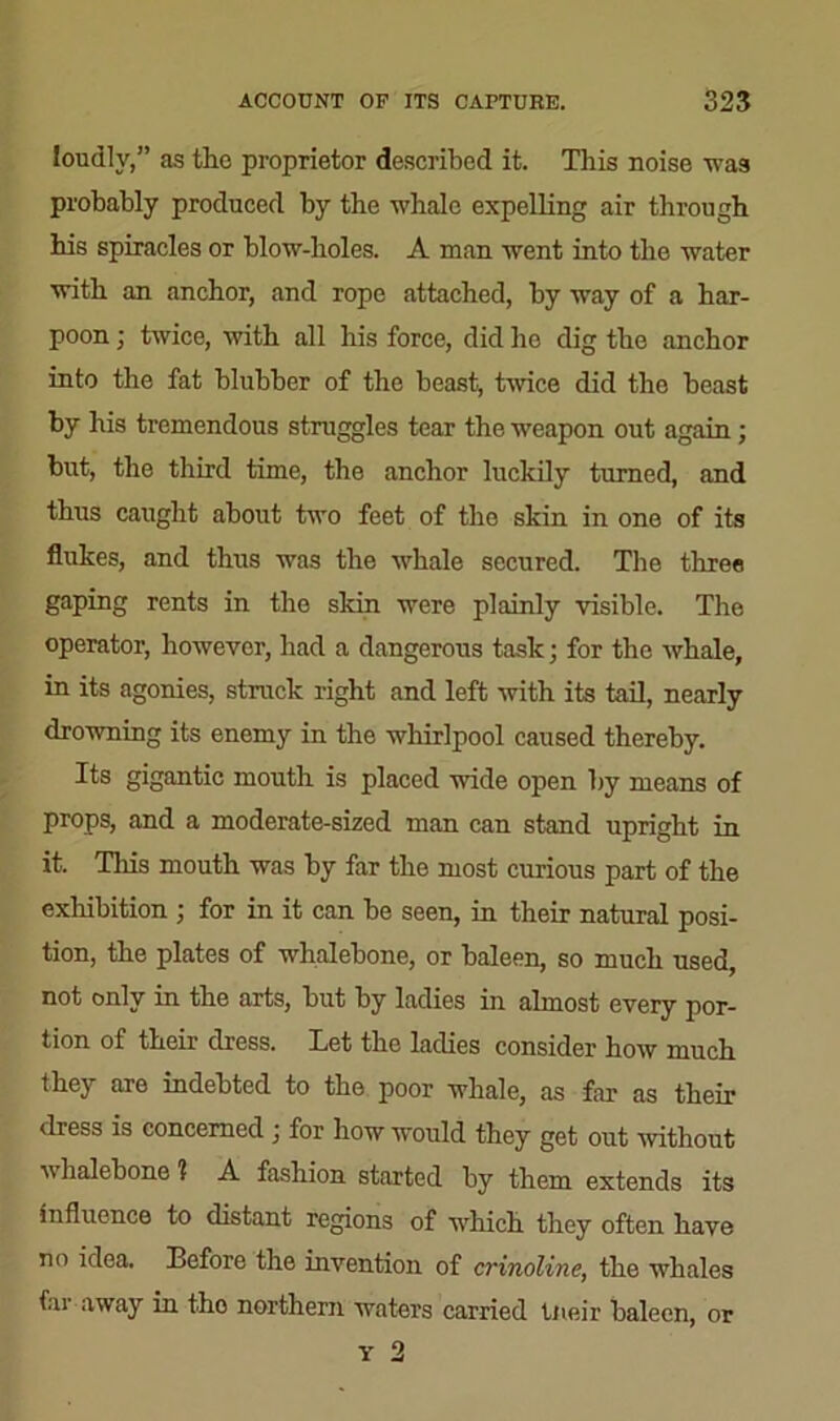 loudly,” as the proprietor described it. This noise was probably produced by the whale expelling air through his spiracles or blow-holes. A man went into the water with an anchor, and rope attached, by way of a har- poon ; twice, with all his force, did ho dig the anchor into the fat blubber of the beast, twice did the beast by his tremendous struggles tear the weapon out again; but, the third time, the anchor luckily turned, and thus caught about two feet of tho skin in one of its flukes, and thus was the whale secured. The three gaping rents in the skin were plainly visible. The operator, however, had a dangerous task; for the whale, in its agonies, struck right and left with its tail, nearly drowning its enemy in the whirlpool caused thereby. Its gigantic mouth is placed wide open by means of props, and a moderate-sized man can stand upright in it. This mouth was by far the most curious part of the exhibition ; for in it can be seen, in their natural posi- tion, the plates of whalebone, or baleen, so much used, not only in the arts, but by ladies in almost every por- tion of their dress. Tet the ladies consider how much they are indebted to the poor whale, as far as their dress is concerned ; for how would they get out 'without v halebone 1 A fashion started by them extends its influence to distant regions of which they often have no idea. Before the invention of crinoline, the whales far away in tho northern waters carried tneir baleen, or