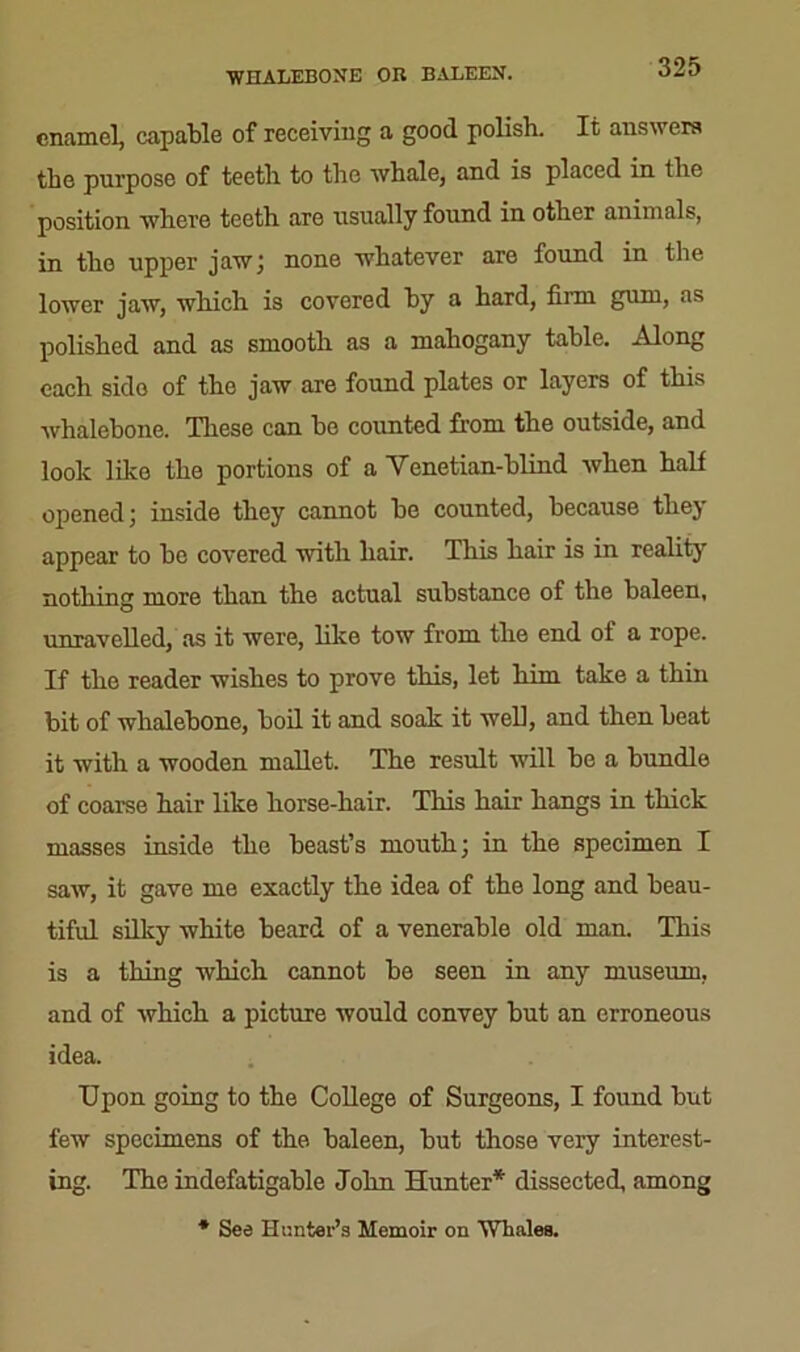 WHALEBONE OB BALEEN. enamel, capable of receiving a good polish. It answers the purpose of teeth to the whale, and is placed in the position where teeth are usually found in other animals, in the upper jaw; none whatever are found in the lower jaw, which is covered by a hard, firm gum, as polished and as smooth as a mahogany table. Along each side of the jaw are found plates or layers of this whalebone. These can be counted from the outside, and look like the portions of a Venetian-blind when half opened; inside they cannot be counted, because they appear to be covered with hair. This hair is in reality nothing more than the actual substance of the baleen, unravelled, as it were, like tow from the end of a rope. If the reader wishes to prove this, let him take a thin bit of whalebone, boil it and soak it well, and then beat it with a wooden mallet. The result will be a bundle of coarse hair like horse-hair. This hair hangs in thick masses inside the beast’s mouth; in the specimen I saw, it gave me exactly the idea of the long and beau- tiful silky white beard of a venerable old man. This is a thing which cannot be seen in any museum, and of which a picture would convey but an erroneous idea. Upon going to the College of Surgeons, I found but few specimens of the baleen, but those very interest- ing. The indefatigable John Hunter* dissected, among * See Hunter’s Memoir on Whales.
