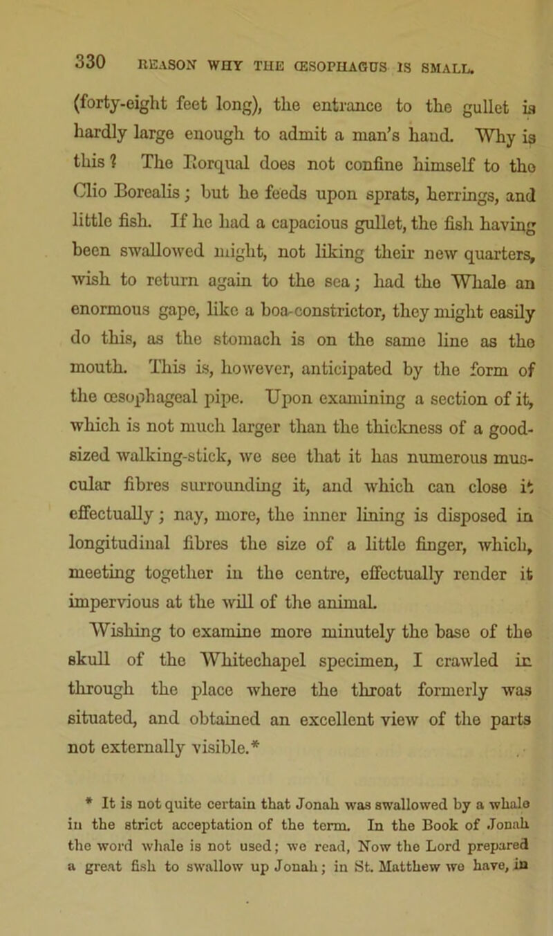 (forty-eight feet long), the entrance to the gullet ia hardly large enough to admit a man’s hand. Why is this 1 The Rorqual does not confine himself to tho Clio Borealis; but he feeds upon sprats, herrings, and little fish. If lie had a capacious gullet, the fish having been swallowed might, not liking their new quarters, wish to return again to the sea; had tho Whale an enormous gape, like a boa-constrictor, they might easily do this, as the stomach is on the same line as the mouth. This is, however, anticipated by the form of the oesophageal pipe. Upon examining a section of it, which is not much larger than the thickness of a good- sized walking-stick, we see that it has numerous mus- cular fibres surrounding it, and which can close it effectually; nay, more, the inner lining is disposed in longitudinal fibres the size of a little finger, which, meeting together in the centre, effectually render it impervious at the will of the animal. Wishing to examine more minutely the base of the skull of the Whitechapel specimen, I crawled in through the place where the throat formerly was situated, and obtained an excellent view of the parts not externally visible.* * It is not quite certain that Jonah was swallowed by a whalo in the strict acceptation of the term. In the Book of Jonah the word whale is not used; we read, Now the Lord prepared a great fish to swallow up Jonah; in St. Matthew we have, in