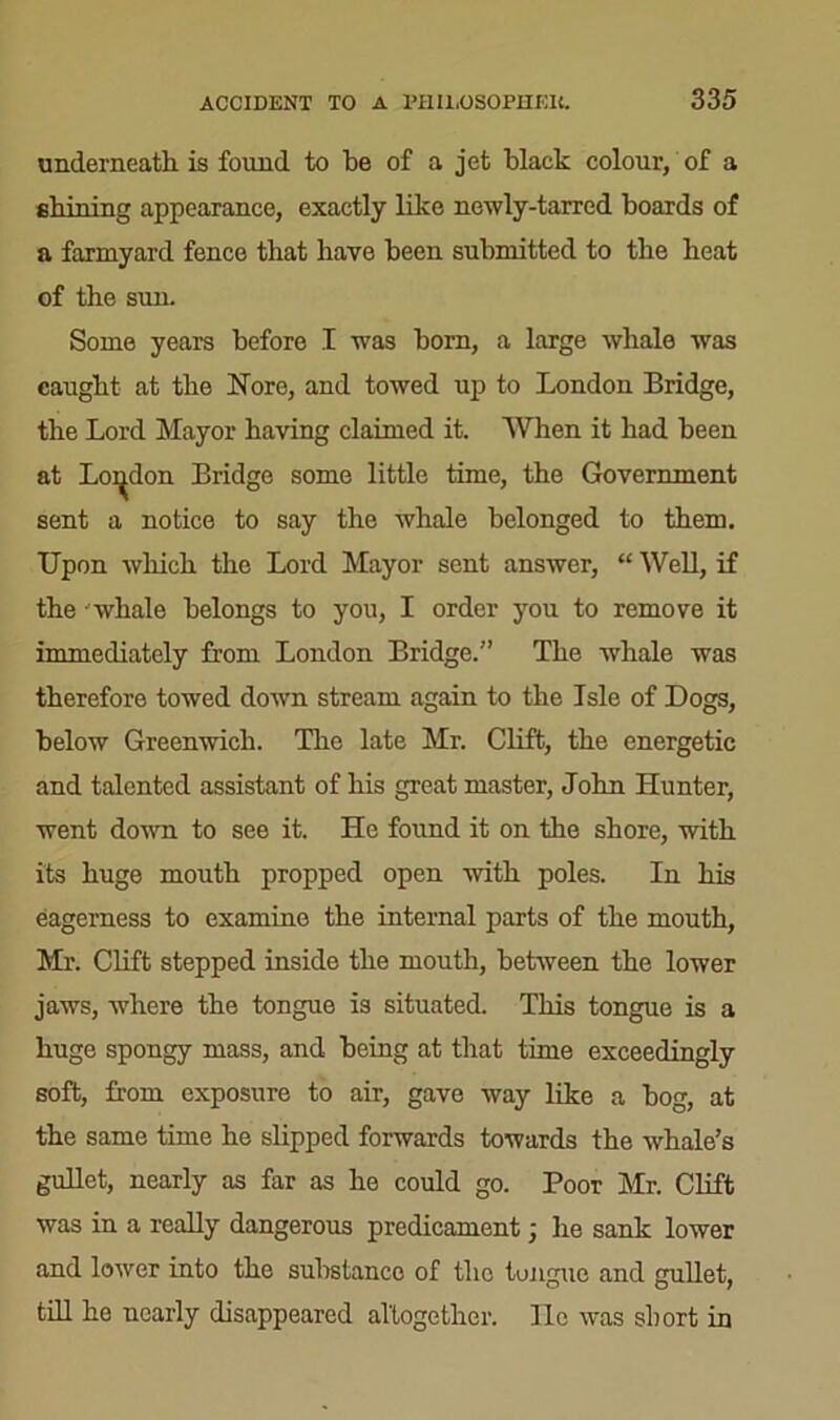 underneath, is found to be of a jet black colour, of a shining appearance, exactly like newly-tarred boards of a farmyard fence that have been submitted to the heat of the sun. Some years before I was born, a large whale was caught at the Nore, and towed up to London Bridge, the Lord Mayor having claimed it. 'When it had been at London Bridge some little time, the Government sent a notice to say the whale belonged to them. Upon which the Lord Mayor sent answer, “ Well, if the whale belongs to you, I order you to remove it immediately from London Bridge.” The whale was therefore towed down stream again to the Isle of Dogs, below Greenwich. The late Mr. Clift, the energetic and talented assistant of his great master, John Hunter, went down to see it. He found it on the shore, with its huge mouth propped open with poles. In his eagerness to examine the internal parts of the mouth, Mr. Clift stepped inside the mouth, between the lower jaws, where the tongue is situated. This tongue is a huge spongy mass, and being at that time exceedingly soft, from exposure to air, gave way like a bog, at the same time he slipped forwards towards the whale’s gullet, nearly as far as he could go. Poor Mr. Clift was in a really dangerous predicament; lie sank lower and lower into the substance of the tongue and gullet, till ho nearly disappeared altogether, lie was short in