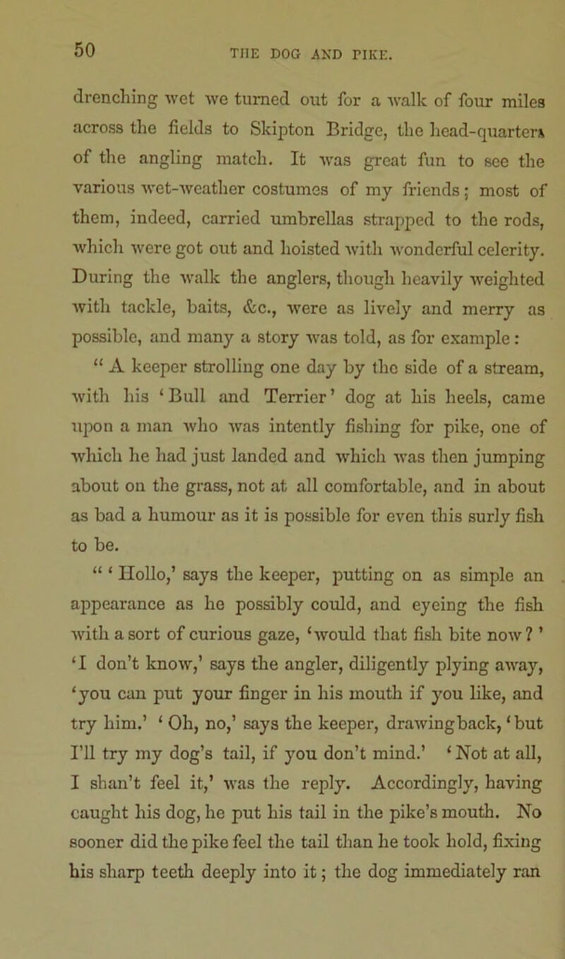 THE DOG AND PIKE. drenching wet we turned out for a walk of four miles across the fields to Skipton Bridge, the head-quarters of the angling match. It was great fun to see the various wet-weather costumes of my friends; most of them, indeed, carried umbrellas strapped to the rods, which were got out and hoisted with wonderful celerity. During the walk the anglers, though heavily weighted with tackle, baits, &c., were as lively and merry as possible, and many a story was told, as for example: “ A keeper strolling one day by the side of a stream, with his 1 Bull and Terrier ’ dog at his heels, came upon a man who was intently fishing for pike, one of which he had just landed and which was then jumping about on the grass, not at all comfortable, and in about as bad a humour as it is possible for even this surly fish to be. “ * Hollo,’ says the keeper, putting on as simple an appearance as he possibly could, and eyeing the fish with a sort of curious gaze, ‘would that fish bite now? ’ ‘I don’t know,’ says the angler, diligently plying away, ‘you can put your finger in his mouth if you like, and try him.’ ‘ Oh, no,’ says the keeper, drawing back, ‘but I’ll try my dog’s tail, if you don’t mind.’ ‘ Not at all, I shan’t feel it,’ was the reply. Accordingly, having caught his dog, he put his tail in the pike’s mouth. No sooner did the pike feel the tail than he took hold, fixing his sharp teeth deeply into it; the dog immediately ran