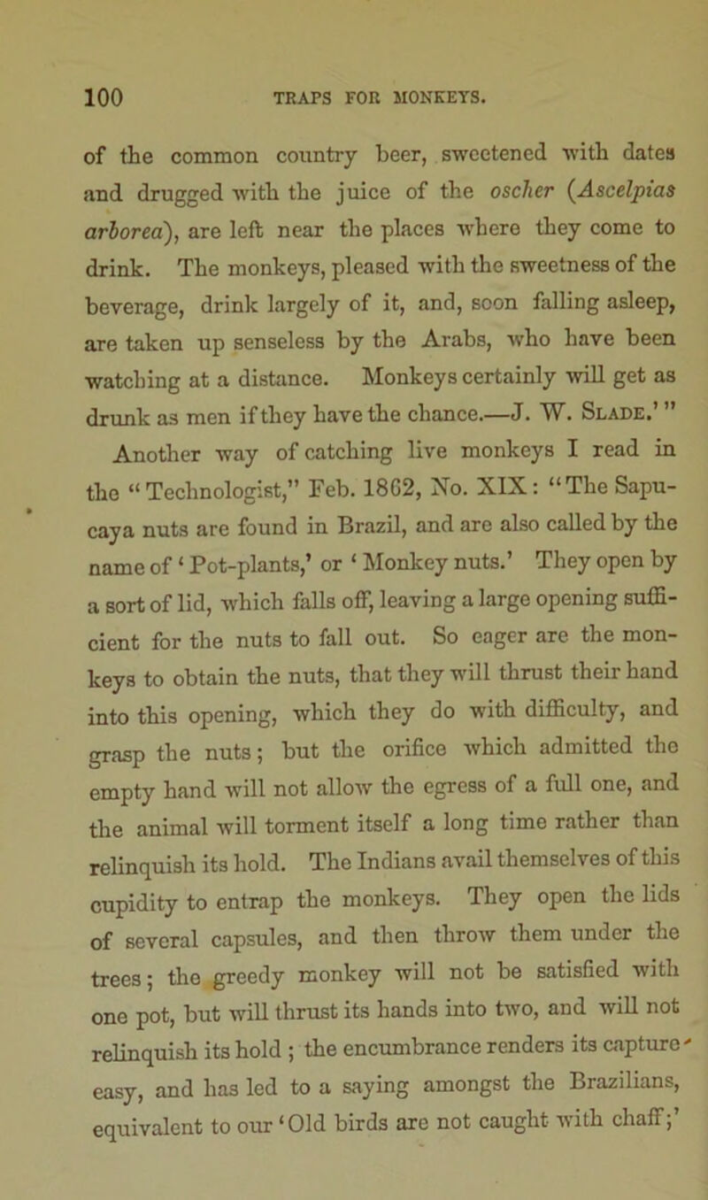 of the common country beer, sweetened with dates and drugged with the juice of the oscher (Ascelpias arborea), are left near the places where they come to drink. The monkeys, pleased with the sweetness of the beverage, drink largely of it, and, soon falling asleep, are taken up senseless by the Arabs, who have been watching at a distance. Monkeys certainly will get as drunk as men if they have the chance.—J. W. Slade.’ ” Another way of catching live monkeys I read in the “Technologist,” Feb. 18G2, No. NIX: “The Sapu- caya nuts are found in Brazil, and arc also called by the name of ‘ Pot-plants,’ or ‘ Monkey nuts.’ They open by a sort of lid, which falls off, leaving a large opening suffi- cient for the nuts to fall out. So eager are the mon- keys to obtain the nuts, that they will thrust their hand into this opening, which they do with difficulty, and grasp the nuts; but the orifice which admitted the empty hand will not allow the egress of a full one, and the animal will torment itself a long time rather than relinquish its hold. The Indians avail themselves of this cupidity to entrap the monkeys. They open the lids of several capsules, and then throw them under the trees; the greedy monkey will not be satisfied with one pot, but will thrust its hands into two, and will not relinquish its hold ; the encumbrance renders its capture' easy, and has led to a saying amongst the Brazilians, equivalent to our ‘Old birds are not caught with chaff;’