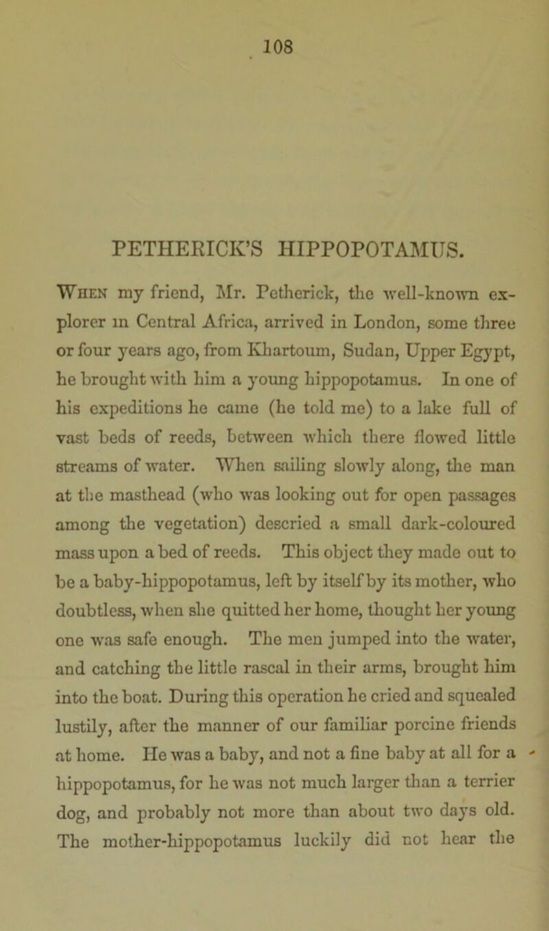 PETHERICK’S HIPPOPOTAMUS. When my friend, Mr. Petherick, the -well-known ex- plorer in Central Africa, arrived in London, some three or four years ago, from Khartoum, Sudan, Upper Egypt, he brought with him a young hippopotamus. In one of his expeditions he came (he told me) to a lake full of vast beds of reeds, between which there flowed little streams of water. When sailing slowly along, the man at the masthead (who was looking out for open passages among the vegetation) descried a small dark-coloured mass upon a bed of reeds. This object they made out to be a baby-hippopotamus, left by itself by its mother, who doubtless, when she quitted her home, thought her young one was safe enough. The men jumped into the water, and catching the little rascal in their arms, brought him into the boat. During this operation he cried and squealed lustily, after the manner of our familiar porcine friends at home. He was a baby, and not a fine baby at all for a - hippopotamus, for he was not much larger than a terrier dog, and probably not more than about two days old. The mother-hippopotamus luckily did not hear the