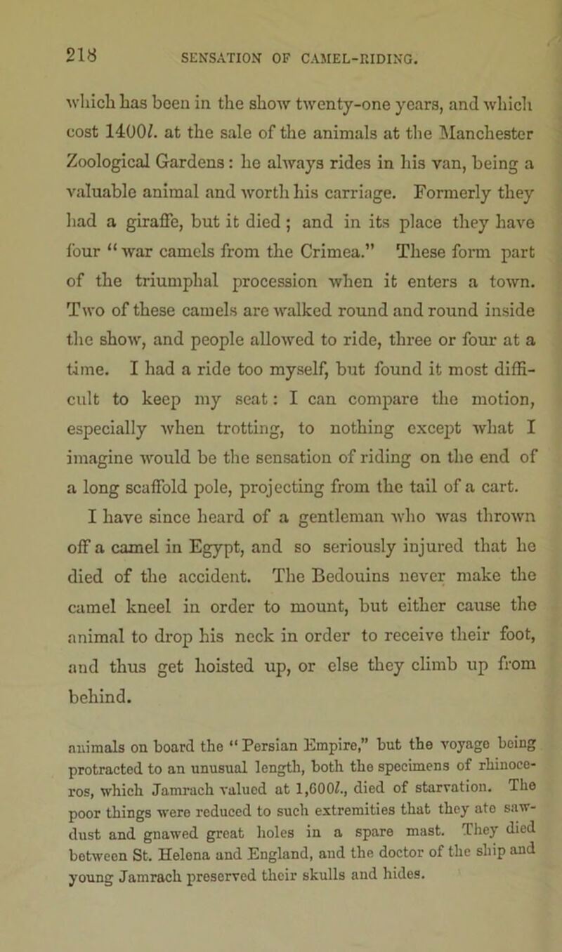 SENSATION OF CAMEL-RIDING. which has been in the show twenty-one years, and which cost 1400h at the sale of the animals at the Manchester Zoological Gardens: he always rides in his van, being a valuable animal and worth his carriage. Formerly they had a giraffe, but it died; and in its place they have i'our “ war camels from the Crimea.” These form part of the triumphal procession when it enters a town. Two of these camels are walked round and round inside the show, and people allowed to ride, three or four at a time. I had a ride too myself, but found it most diffi- cult to keep my seat: I can compare the motion, especially when trotting, to nothing except what I imagine would be the sensation of riding on the end of a long scaffold pole, projecting from the tail of a cart. I have since heard of a gentleman who was thrown off a camel in Egypt, and so seriously injured that he died of the accident. The Bedouins never make the camel kneel in order to mount, but either cause the animal to drop his neck in order to receive their foot, and thus get hoisted up, or else they climb up from behind. animals on board the “ Persian Empire,” but the voyago being protracted to an unusual length, both the specimens of rhinoce- ros, which Jamrach valued at 1,G00/., died of starvation. The poor things were reduced to such extremities that they ato saw- dust and gnawed great holes in a spare mast. They died botweon St, Helena and England, and the doctor of the ship and young Jamrach preserved their skulls and hides.