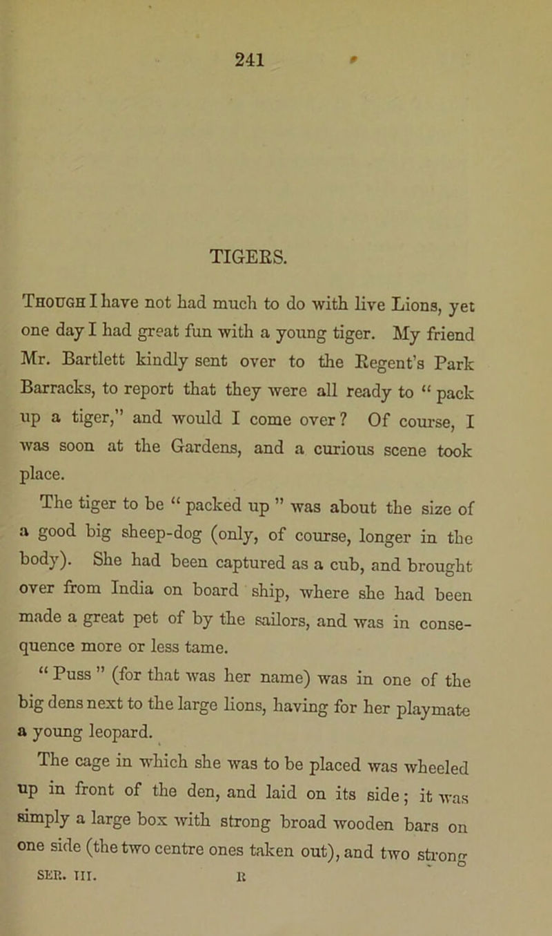 TIGEES. Though I have not had much to do with live Lions, yet one day I had great fun with a young tiger. My friend Mr. Bartlett kindly sent over to the Regent’s Park Barracks, to report that they were all ready to “ pack up a tiger,” and would I come over? Of course, I was soon at the Gardens, and a curious scene took place. The tiger to be “ packed up ” was about the size of a good big sheep-dog (only, of course, longer in the body). She had been captured as a cub, and brought over from India on board ship, where she had been made a great pet of by the sailors, and was in conse- quence more or less tame. “ Puss ” (for that was her name) was in one of the big dens next to the large lions, having for her playmate a young leopard. The cage in which she was to be placed was wheeled up in front of the den, and laid on its side; it was simply a large box with strong broad wooden bars on one side (the two centre ones taken out), and two strong SEP.. III. k