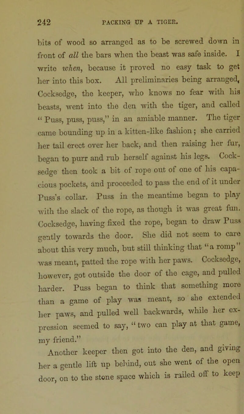bits of wood so arranged as to be screwed down in front of all the bars when the beast was safe inside. I write when, because it proved no easy task to get her into this box. All preliminaries being arranged, Cocksedge, the keeper, who knows no fear with his beasts, went into the den with the tiger, and called “ Puss, puss, puss,” in an amiable manner. The tiger came bounding up in a kitten-like fashion; she carried her tail erect over her back, and then raising her fur, began to purr and rub herself against his legs. Cock- sedge then took a bit of rope out of one of his capa- cious pockets, and proceeded to pass the end of it under Puss’s collar. Puss in the meantime began to play with the slack of the rope, as though it was great fun. Cocksedge, having fixed the rope, began to draw Puss gently towards the door. She did not seem to caie about this very much, but still thinking that “a romp was meant, patted the rope with her paws. Cocksedge, however, got outside the door of the cage, and pulled harder. Puss began to think that something more than a game of play was meant, so she extended her paws, and pulled well backwards, while her ex- pression seemed to say, “ two can play at that game, my friend.” Another keeper then got into the den, and giving her a gentle lift up behind, out she went of the open door, on to the stone space which is railed off to keep