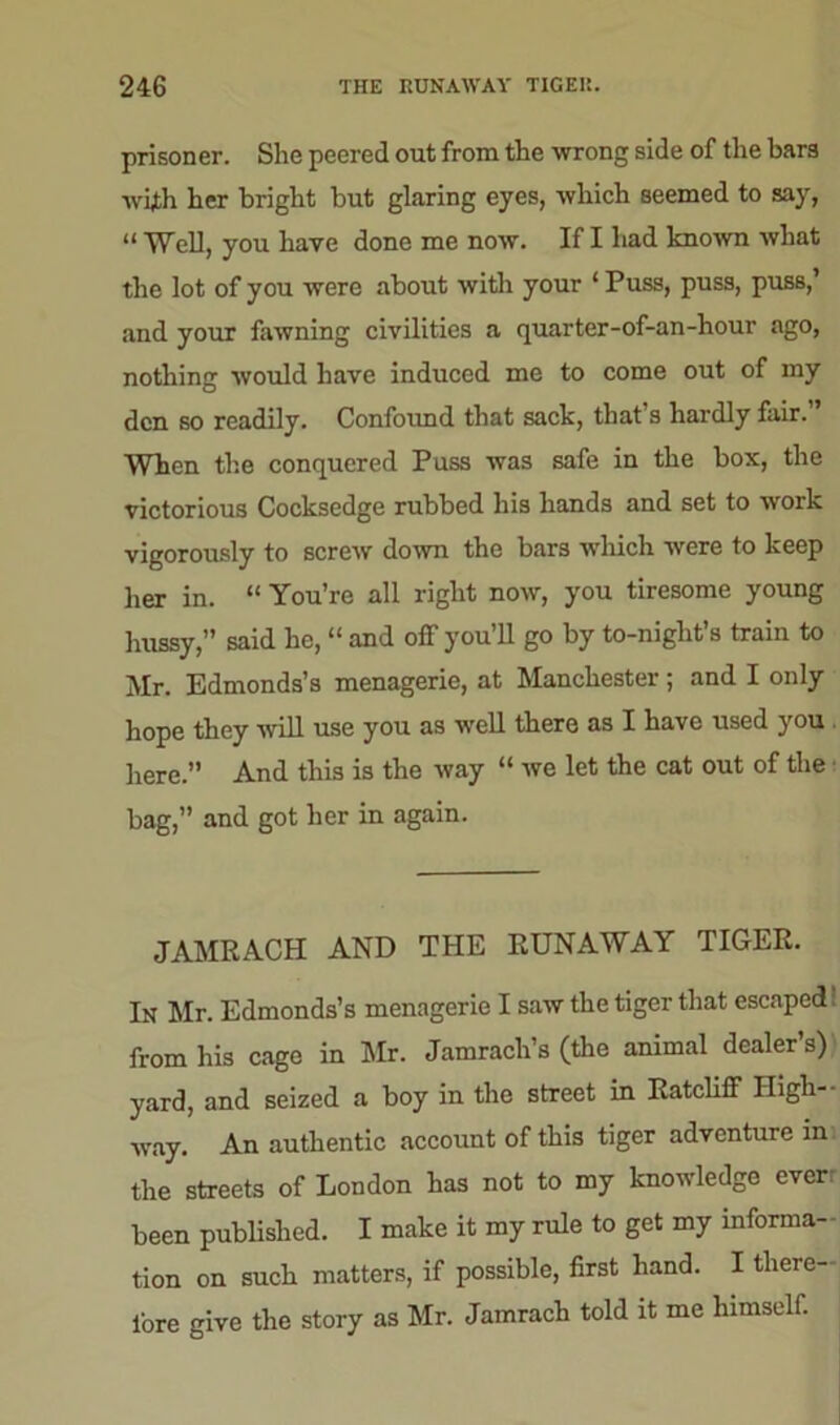prisoner. She peered out from the wrong side of the barn with her bright but glaring eyes, which seemed to say, “ Well, you have done me now. If I had known what the lot of you were about with your 1 Puss, puss, puss,’ and your fawning civilities a quarter-of-an-hour ago, nothing would have induced me to come out of my den so readily. Confound that sack, that’s hardly fair. When the conquered Puss was safe in the box, the victorious Cocksedge rubbed his hands and set to work vigorously to screw down the bars which were to keep her in. “ You’re all right now, you tiresome young hussy,” said he, “ and off you’ll go by to-night’s train to Mr. Edmonds’s menagerie, at Manchester ; and I only hope they will use you as well there as I have used you here.” And this is the way “ we let the cat out of the bag,” and got her in again. JAMRACH AND THE RUNAWAY TIGER. In Mr. Edmonds’s menagerie I saw the tiger that escaped' from his cage in Mr. Jamracli’s (the animal dealer’s) yard, and seized a boy in the street in Ratcliff High— way. An authentic account of this tiger adventure in the streets of London has not to my knowledge everr been published. I make it my rule to get my informa- tion on such matters, if possible, first hand. I there- fore give the story as Mr. Jamrach told it me himself.