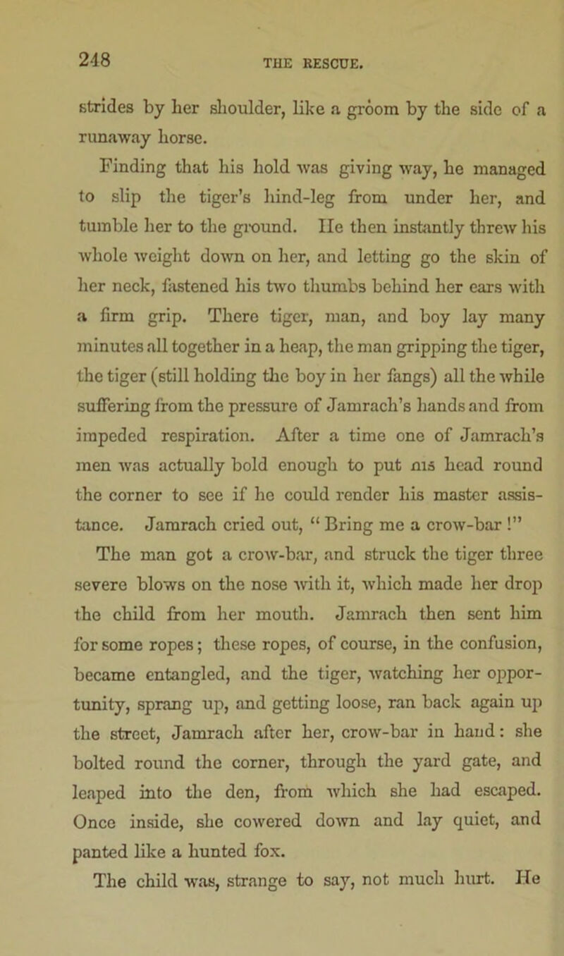 strides by her shoulder, like a groom by the side of a runaway horse. Finding that his hold was giving way, he managed to slip the tiger’s hind-leg from under her, and tumble her to the ground. He then instantly threw his whole weight down on her, and letting go the skin of her neck, fastened his two thumbs behind her ears with a firm grip. There tiger, man, and boy lay many minutes all together in a heap, the man gripping the tiger, the tiger (still holding the boy in her fangs) all the while suffering irom the pressure of Jamrach’s hands and from impeded respiration. After a time one of Jamrach’s men was actually bold enough to put ms head round the corner to see if he could render his master assis- tance. Jamrach cried out, “ Bring me a crow-bar !” The man got a crow-bar, and struck the tiger three severe blows on the nose with it, which made her drop the child from her mouth. Jamrach then sent him for some ropes; these ropes, of course, in the confusion, became entangled, and the tiger, watching her oppor- tunity, sprang up, and getting loose, ran back again up the street, Jamrach after her, crow-bar in hand: she bolted round the corner, through the yard gate, and leaped into the den, from which she had escaped. Once inside, she cowered down and lay quiet, and panted like a hunted fox. The child was, strange to say, not much hurt. He