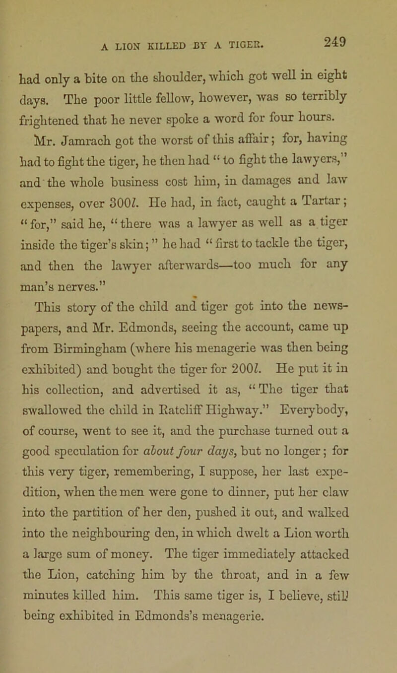 had only a bite on the shoulder, which got well in eight days. The poor little fellow, however, was so terribly frightened that he never spoke a word for four hours. Mr. Jamrach got the worst of this aftair; for, having had to fight the tiger, he then had “ to fight the lawyers, ’ and the whole business cost him, in damages and law expenses, over 300Z. IIo had, in fact, caught a Tartar; “ for,” said he, “ there was a lawyer as well as a tiger inside the tiger’s skin; ” he had “ first to tackle the tiger, and then the lawyer afterwards—too much for any man’s nerves.” This story of the child and tiger got into the news- papers, and Mr. Edmonds, seeing the account, came up from Birmingham (where his menagerie was then being exhibited) and bought the tiger for 200Z. He put it in his collection, and advertised it as, “ The tiger that swallowed the child in Eatcliff Highway.” Everybody, of course, went to see it, and the purchase turned out a good speculation for about four days, but no longer; for this very tiger, remembering, I suppose, her last expe- dition, when the men were gone to dinner, put her claw into the partition of her den, pushed it out, and walked into the neighbouring den, in which dwelt a Lion worth a large sum of money. The tiger immediately attacked the Lion, catching him by the throat, and in a few minutes killed him. This same tiger is, I believe, still being exhibited in Edmonds’s menagerie.