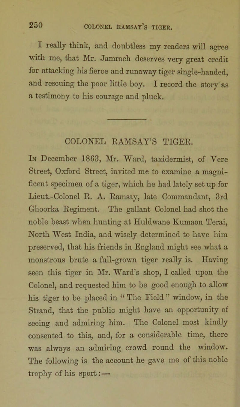 COLONEL KAMSAY’S TIGER. I really think, and doubtless my readers will agree tvitb me, that Mr. Jamracli deserves very great credit for attacking bis fierce and runaway tiger single-handed, and rescuing the poor little boy. I record the story as a testimony to his courage and pluck. COLONEL RAMSAY’S TIGER. In December 1863, Mr. Ward, taxidermist, of Vere Street, Oxford Street, invited me to examine a magni- ficent specimen of a tiger, which he had lately setup for Lieut.-Colonel R. A. Ramsay, late Commandant, 3rd Ghoorka Regiment. The gallant Colonel had shot the noble beast when hunting at Huldwane Kumaon Terai, North West India, and wisely determined to have him preserved, that his friends in England might see what a monstrous brute a full-grown tiger really is. Having seen this tiger in Mr. Ward’s shop, I called upon the Colonel, and requested him to be good enough to allow his tiger to be placed in “ The Field ” window, in the Strand, that the public might have an opportunity of seeing and admiring him. The Colonel most kindly consented to this, and, for a considerable time, there was always an admiring crowd round the window. The following is the account he gave me of this noble trophy of his sport:—