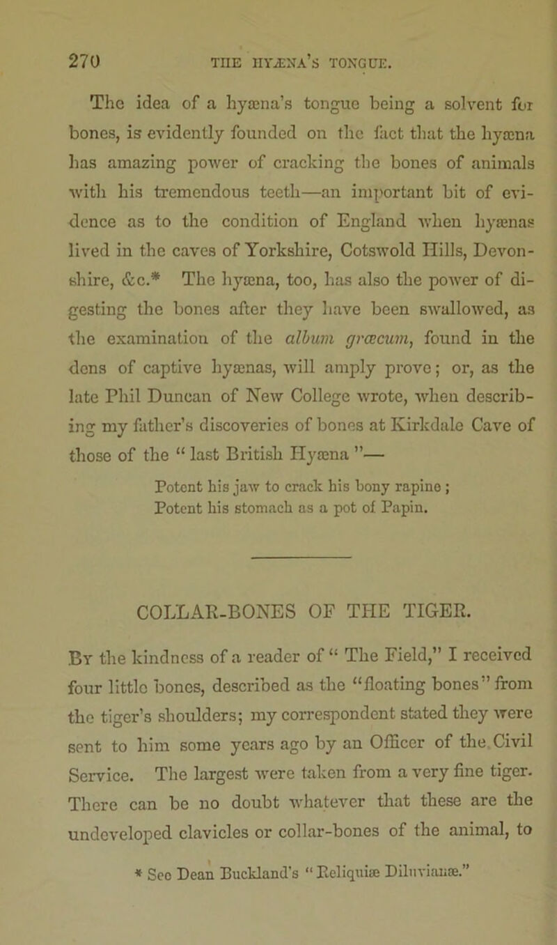 Tho idea of a hyama’s tongue being a solvent for bones, is evidently founded on the fact that the hyama has amazing power of cracking the bones of animals with his tremendous teeth—an important bit of evi- dence as to the condition of England when hyaenas lived in the caves of Yorkshire, Cotswold Hills, Devon- shire, &c* The hyaena, too, has also the power of di- gesting the bones after they have been swallowed, as the examination of the album grcecum, found in the dens of captive hyaenas, will amply prove; or, as the late Phil Duncan of New College wrote, when describ- ing my father’s discoveries of bones at Ivirkdale Cave of those of the “ last British Hyaena ”— Potent liis jaw to crack his bony rapine ; Potent his stomach as a pot of Papin. COLLAR-BONES OF THE TIGER. Bv the kindness of a reader of “ The Field,” I received four little bones, described as the “floating bones” from the tiger’s shoulders; my correspondent stated they were sent to him some years ago by an Officer of the Civil Service. The largest were taken from a very fine tiger. There can be no doubt whatever that these are the undeveloped clavicles or collar-bones of the animal, to * Sec Dean Buckland's “ Reliquiae Diluvial;®.”