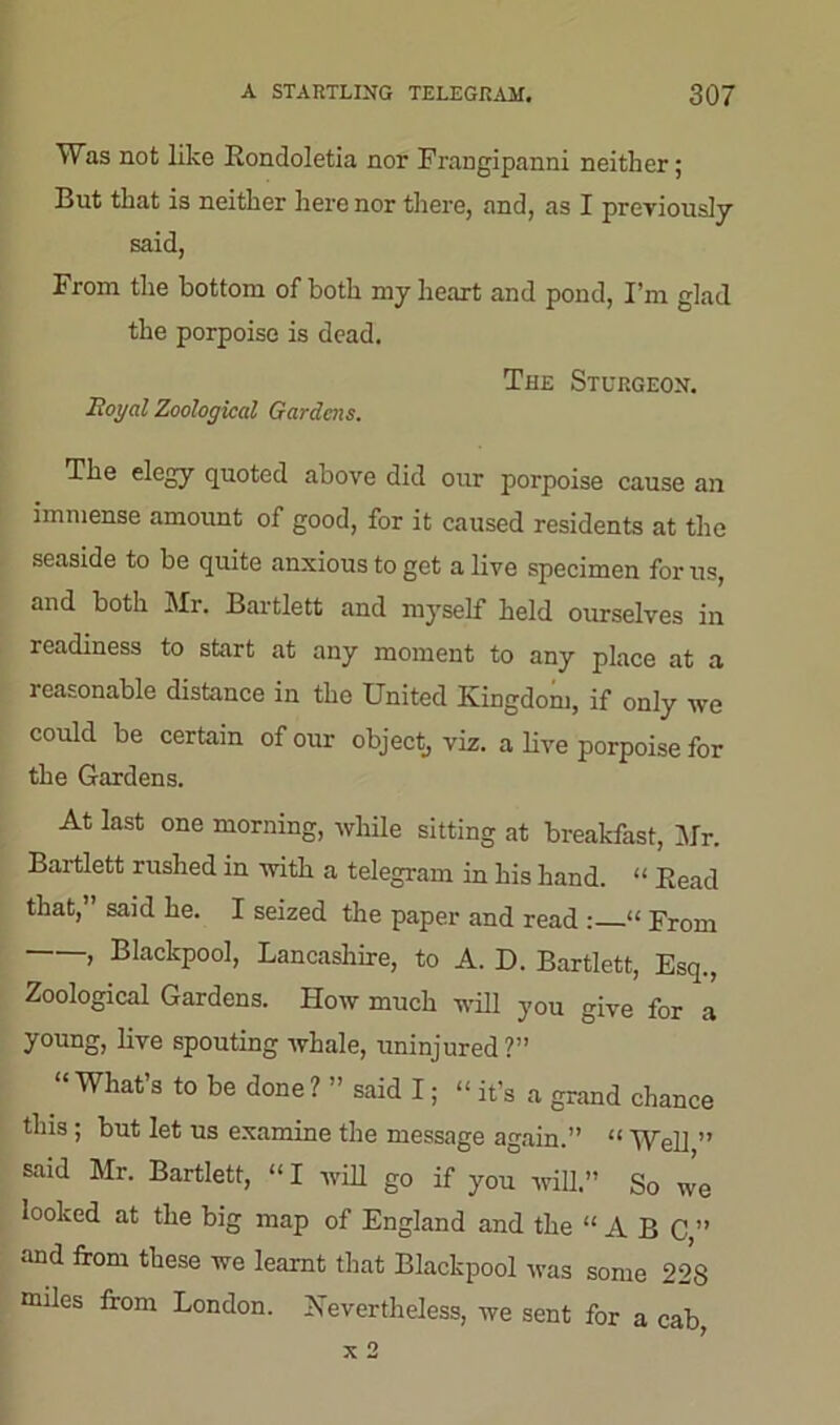 Was not like Rondoletia nor Frangipanni neither; But that is neither here nor there, and, as I previously said, From the bottom of both my heart and pond, I’m glad the porpoise is dead. The Sturgeon. Royal Zoological Gardens. The elegy quoted above did our porpoise cause an immense amount of good, for it caused residents at the seaside to be quite anxious to get a live specimen for us, and both Mr. Bartlett and myself held ourselves in readiness to start at any moment to any place at a reasonable distance in the United Kingdom, if only we could be certain of our object, viz. a live porpoise for the Gardens. At last one morning, while sitting at breakfast, Mr. Bartlett rushed in with a telegram in his hand. “ Read that,” said he. I seized the paper and read : “ From , Blackpool, Lancashire, to A. D. Bartlett, Esq., Zoological Gardens. How much will you give for a young, live spouting whale, uninjured?” “What’s to be done? ” said I; “ it’s a grand chance this ; but let us examine the message again.” “ Well ” said Mr. Bartlett, “ I will go if you will.” So we looked at the big map of England and the “ABC ” and from these we learnt that Blackpool was some 228 miles from London. Nevertheless, we sent for a cab, x 2