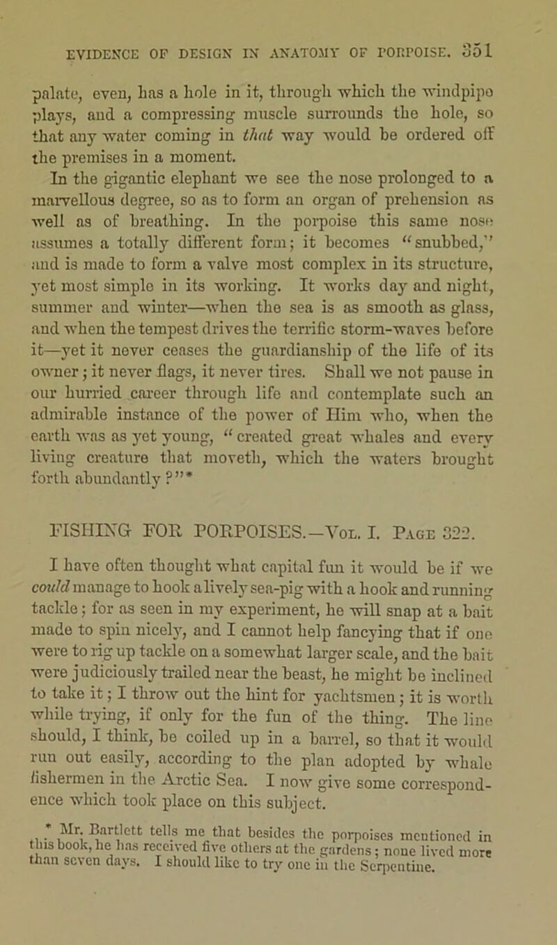 palate, even, Las a liole in it, through which the windpipe plays, and a compressing muscle surrounds the hole, so that any water coming in that way would be ordered off the premises in a moment. In the gigantic elephant we see the nose prolonged to a marvellous degree, so as to form an organ of prehension as well as of breathing. In the porpoise this same nose assumes a totally different form; it becomes “snubbed,” and is made to form a valve most complex in its structure, yet most simple in its working. It works day and night, summer and winter—when the sea is as smooth as glass, and when the tempest drives the terrific storm-waves before it—yet it never ceases the guardianship of the life of its owner; it never flags, it never tires. Shall we not pause in our hurried career through life and contemplate such an admirable instance of the power of Him who, when the earth was as yet young, “ created great whales and every living creature that movetli, which the waters brought forth abundantly ?”* FISHING FOR PORPOISES.-Vol. I. Page 322. I have often thought what capital fun it would be if we could manage to hook alively sea-pig with a hook and Tunning tackle; for as seen in my experiment, he will snap at a bait made to spin nicely, and I cannot help fancying that if one were to rig up tackle on a somewhat larger scale, and the bait were judiciously trailed near the beast, he might be inclined to take it; I throw out the hint for yachtsmen ; it is worth while trying, if only for the fun of the thing. The line should, I think, be coiled up in a barrel, so tbat it would run out easily, according to the plan adopted by whale fishermen in the Arctic Sea. I now give some correspond- ence which took place on this subject. • ?Ir; flar*jett tells me that besides the porpoises mentioned in this book, he has received five others at the gardens; none lived more than seven days. I should like to try one in the Serpentine.