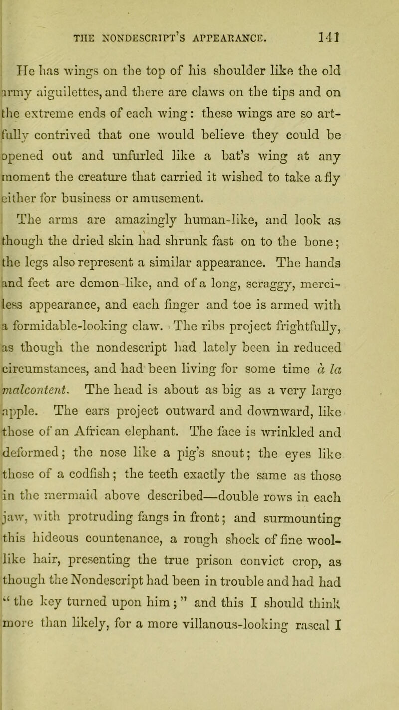He lias -wings on the top of his shoulder like the old army aiguilettcs, and there are claavs on the tips and on the extreme ends of each wing: these wings are so art- fully contrived that one would believe they could be opened out and unfurled like a bat’s wing at any moment the creature that carried it wished to take a fly either for business or amusement. The arms are amazingly human-like, and look as though the dried skin had shrunk fast on to the bone; the legs also represent a similar appearance. The hands and feet are demon-like, and of a long, scraggy, merci- less appearance, and each finger and toe is armed with a formidable-looking claw. The ribs project frightfully, as though the nondescript had lately been in reduced circumstances, and had been living for some time a la malcontent. The head is about as big as a very largo apple. The ears project outward and doAvnward, like those of an African elephant. The face is wrinkled and deformed; the nose like a pig’s snout; the eyes like those of a codfish; the teeth exactly the same as those in the mermaid above described—double rows in each jaw, Avith protruding fangs in front; and surmounting this hideous countenance, a rough shock of fine wool- like hair, presenting the true prison convict crop, as though the Nondescript had been in trouble and had had “ the key turned upon him ; ” and this I should think more than likely, for a more villanous-looking rascal I