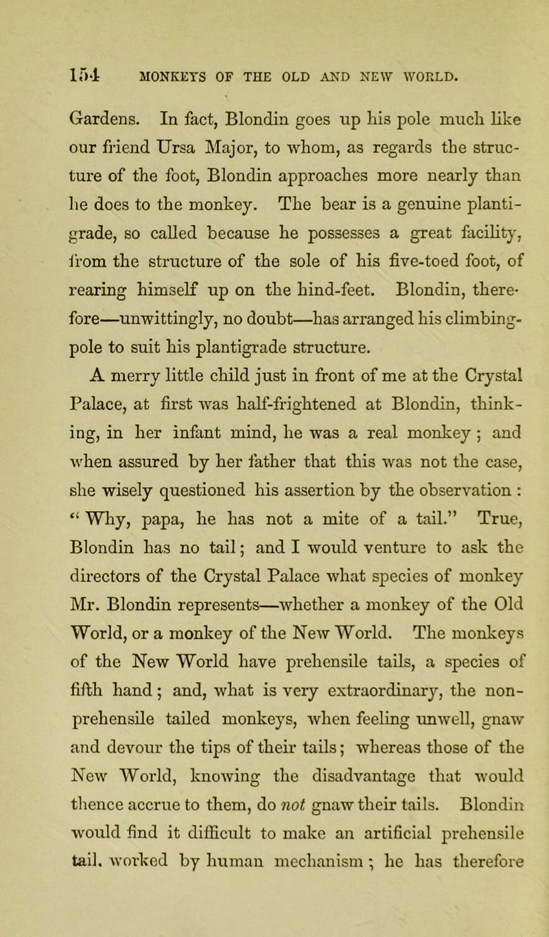 MONKEYS OF THE OLD AND NEW WOKLD. in-i Gardens. In fact, Blondin goes tip liis pole mucli like our friend Ursa Major, to whom, as regards the struc- ture of the foot, Blondin approaches more nearly than he does to the monkey. The bear is a genuine planti- grade, so called because he possesses a great facility, from the structure of the sole of his five-toed foot, of rearing himself up on the hind-feet. Blondin, there- fore—unwittingly, no doubt—has arranged his climbing- pole to suit his plantigrade structure. A merry little child just in front of me at the Crystal Palace, at first was half-frightened at Blondin, think- ing, in her infant mind, he was a real monlcey ; and when assured by her father that this was not the case, she wisely questioned his assertion by the observation : “ Wliy, papa, he has not a mite of a tail.” True, Blondin has no tail; and I would venture to ask the directors of the Crystal Palace what species of monkey Mr. Blondin represents—whether a monkey of the Old World, or a monkey of the New World. The monkeys of the New World have prehensile tads, a species of fiflh hand; and, what is very extraordinary, the non- prehensUe tailed monkeys, when feeling unwell, gnaw and devour the tips of their tails; whereas those of the New World, knowing the disadvantage that would thence accrue to them, do not gnaw their tails. Blondin would find it difficult to make an artificial prehensile tail, worked by human mechanism; he has therefore