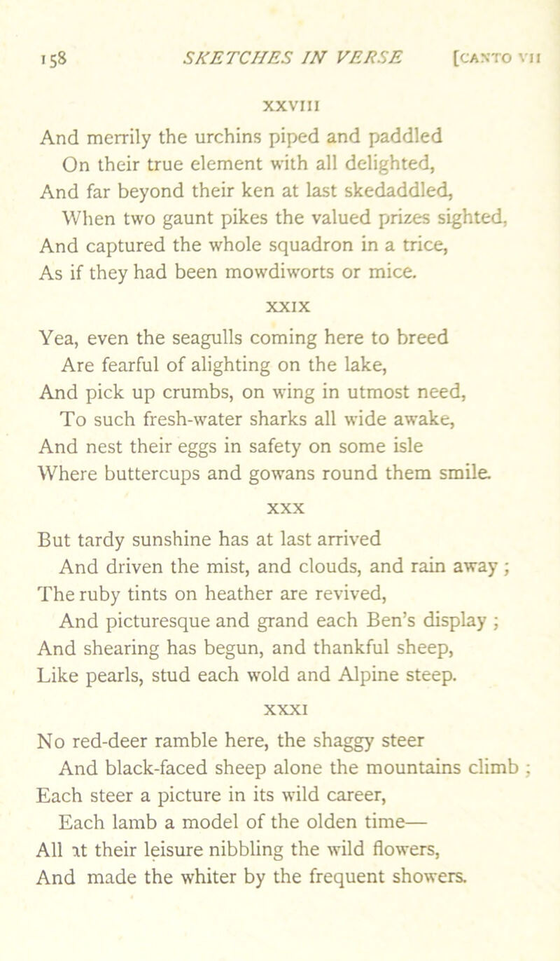 XXVIIl And merrily the urchins piped and paddled On their true element with all delighted, And far beyond their ken at last skedaddled, When two gaunt pikes the valued prizes sighted, And captured the whole squadron in a trice. As if they had been mowdiworts or mice. XXIX Yea, even the seagulls coming here to breed Are fearful of alighting on the lake. And pick up crumbs, on wing in utmost need. To such fresh-water sharks all wide awake. And nest their eggs in safety on some isle Where buttercups and gowans round them smile XXX But tardy sunshine has at last arrived And driven the mist, and clouds, and rain away; The ruby tints on heather are revived. And picturesque and grand each Ben’s display ; And shearing has begun, and thankful sheep. Like pearls, stud each wold and Alpine steep. XXXI No red-deer ramble here, the shaggy steer And black-faced sheep alone the mountains climb ; Each steer a picture in its wild career. Each lamb a model of the olden time— All at their leisure nibbling the wild flowers. And made the whiter by the frequent showers.